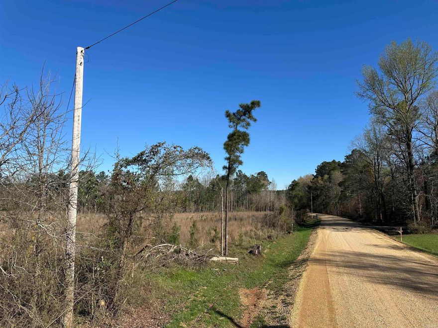 The Bradley Road 7 North Tract is in the west-central part of Bradley County, Arkansas approximately 5.5 miles west of Warren.  Access to the property is good from Bradley County Road 7 North, a county-maintained gravel road. There are typical rural utilities (electric, phone, and rural water) on this road. Most of this tract was planted with loblolly pine in 2024 that provides a great timber investment! There is a creek drain the bisects the tract that adds diversity! Whether you are looking for a place to build your dream home, convert the plantation to pasture and build a farm, keep the tract as a timberland investment, or just looking for a place to hunt or just ‘get away’, check on the ‘Bradley Road 7 North Tract’!