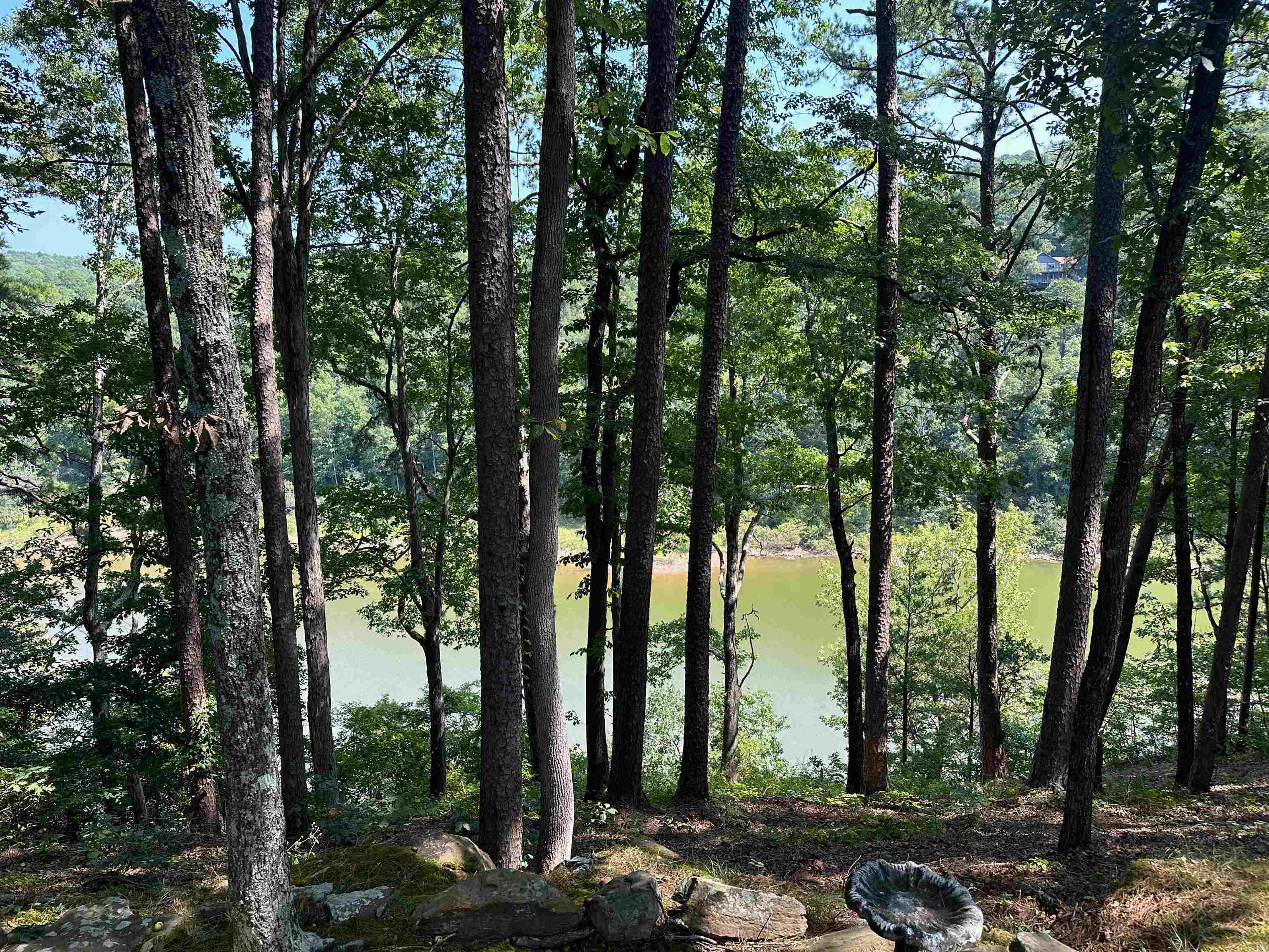 Lakefront, lakeview lot. This is a flat lot that is easy to build on. This parcel is located at the back of Snake Cove/Lynn Creek. Quiet subdivision just 5 minutes or less from marina. Build your own house and enjoy the lakeview drinking your morning coffee. OWNER/AGENT