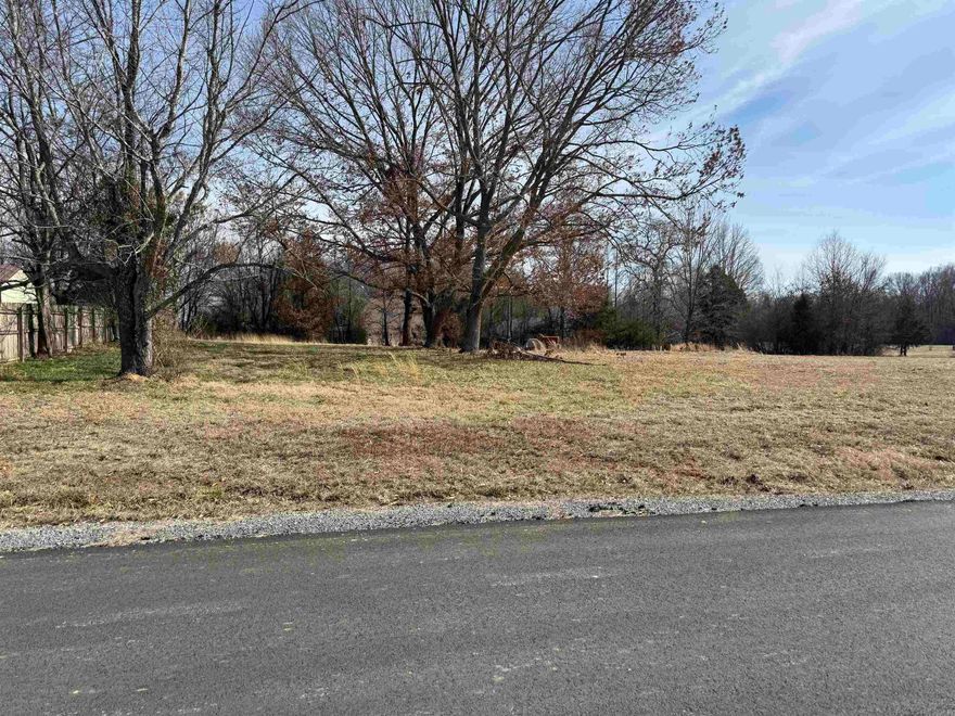 Level Building lot in Perfect Location for those wanting to be a little out in the country, but not too far in the Boonies.  Close to Interstate, Sam's Club, Shopping, Multiple Lots available at various prices.  No Through Traffic, Dead End Road.  Some Large Shade Trees.  See plat attached.