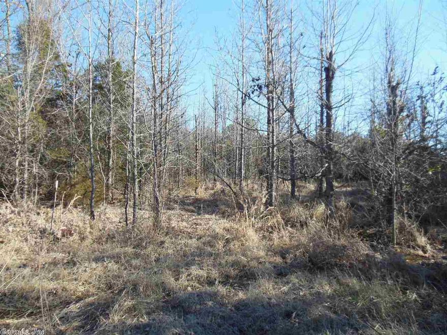 Property would make a great home/homes site 5 of the forty five acres is split off by road giving property a total of 4 hwy sides. there is lots of old growth hard woods and pine trees. water and power available and runs along property frontage. SEE AGENT REMARKS