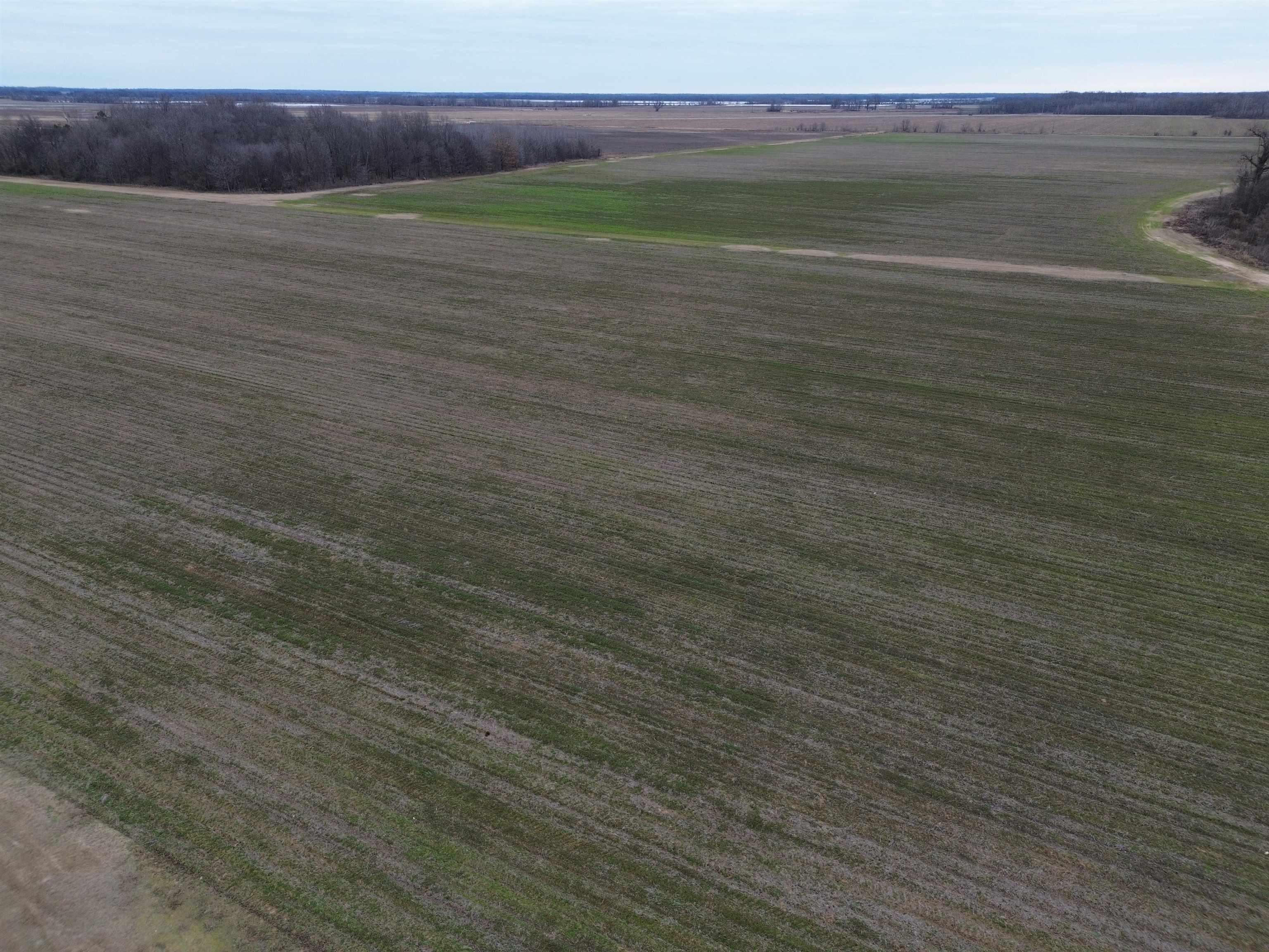 Peoples Company is pleased to bring 1344 acres m/l of irrigated farmland to the market located in Lincoln County, AR. The farm is estimated to be 1154 acres tillable. In addition there is a substation surrounded by the farm that has added value as far as solar is concerned. The farm has been known for years as "The Clowers Farm". It is located in north Lincoln County, Arkansas just south of Pine Bluff approx. 12 miles. The farm lays on both sides of Hwy 425 and is bordered by Jefferson County on the northside. The farm is an investment grade ag property situated in one of the best areas of southeast Arkansas. The farm is irrigated by 10 wells (1 - 6" electric, 6 - 8" diesel, 1 - 8" electric, 1 - 10" electric and 1 - 10" diesel). All strategically located for maximum coverage. In today's market there aren't a lot of farms that are being offered for sale, especially the size and versatility of this tract. The farm soil NCCPI rating is an impressive 77.6. The makeup of soils is Rilla silt loam, Perry and Portland Clay, Hebert, McGehee and Grenada silt loam allowing for a diverse crop mix including cotton, corn, soybeans and rice.