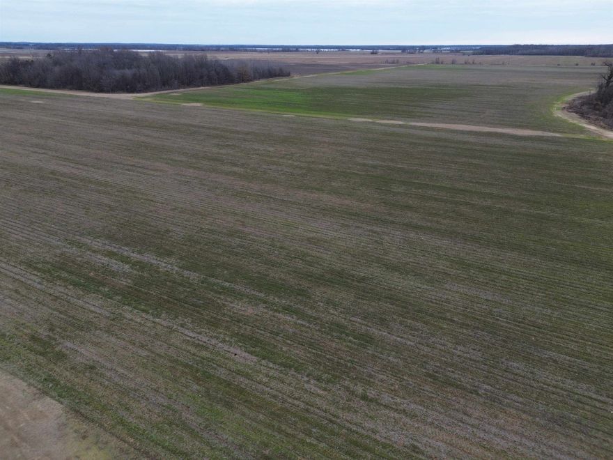 Peoples Company is pleased to bring 1344 acres m/l of irrigated farmland to the market located in Lincoln County, AR. The farm is estimated to be 1154 acres tillable. In addition there is a substation surrounded by the farm that has added value as far as solar is concerned.   The farm has been known for years as "The Clowers Farm". It is located in north Lincoln County, Arkansas just south of Pine Bluff approx. 12 miles. The farm lays on both sides of Hwy 425 and is bordered by Jefferson County on the northside. The farm is an investment grade ag property situated in one of the best areas of southeast Arkansas. The farm is irrigated by 10 wells (1 - 6" electric, 6 - 8" diesel, 1 - 8" electric, 1 - 10" electric and 1 - 10" diesel). All strategically located for maximum coverage.  In today's market there aren't a lot of farms that are being offered for sale, especially the size and versatility of this tract.  The farm soil NCCPI rating is an impressive 77.6. The makeup of soils is Rilla silt loam, Perry and Portland Clay, Hebert, McGehee and Grenada silt loam allowing for a diverse crop mix including cotton, corn, soybeans and rice.