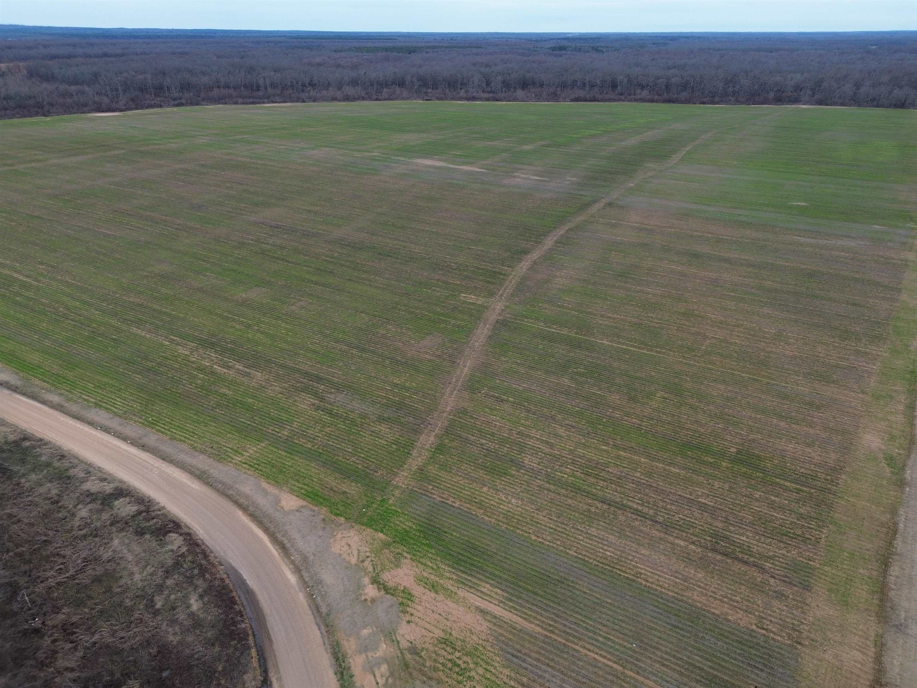 Lincoln - Farm