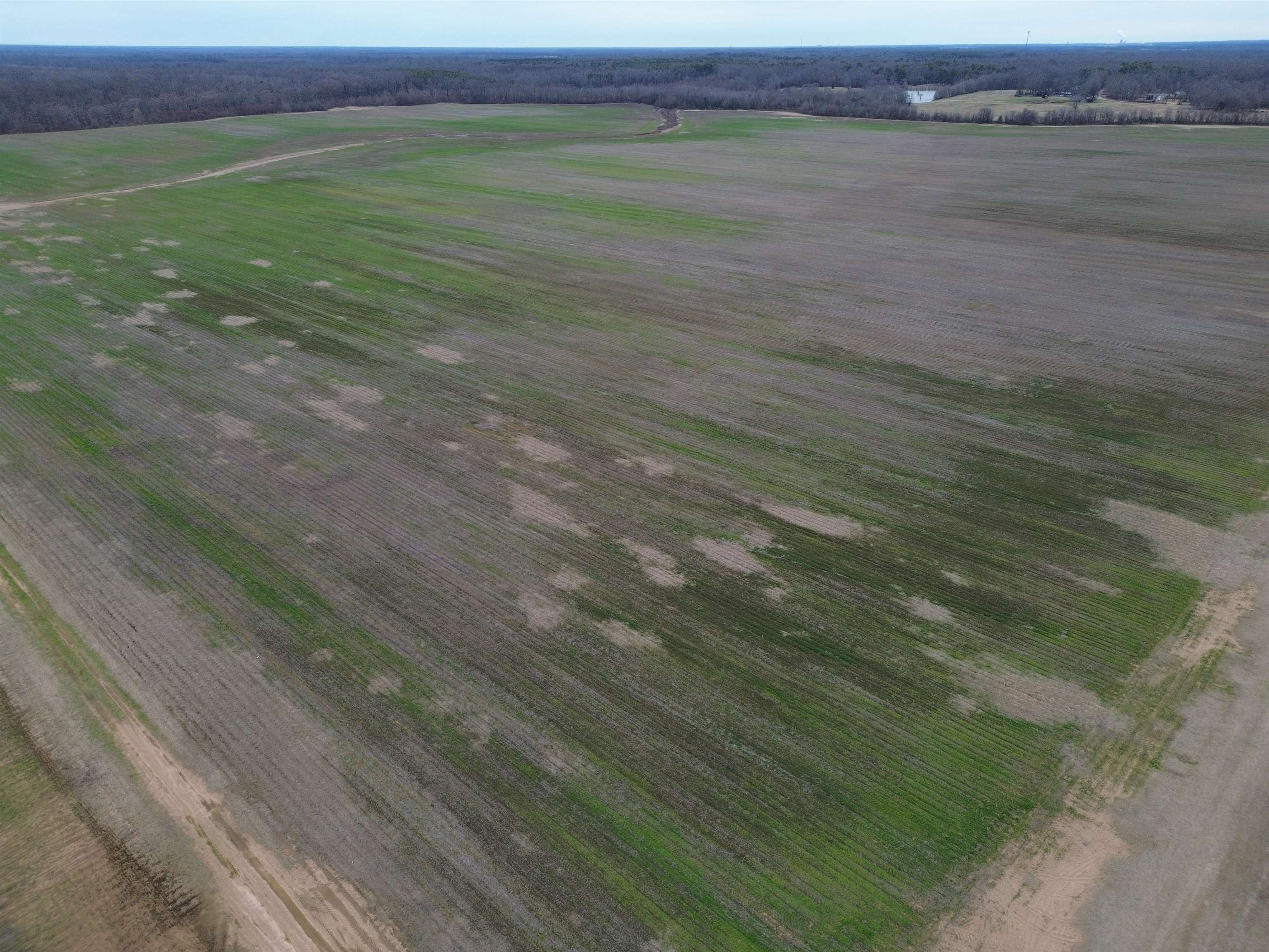 Lincoln - Farm