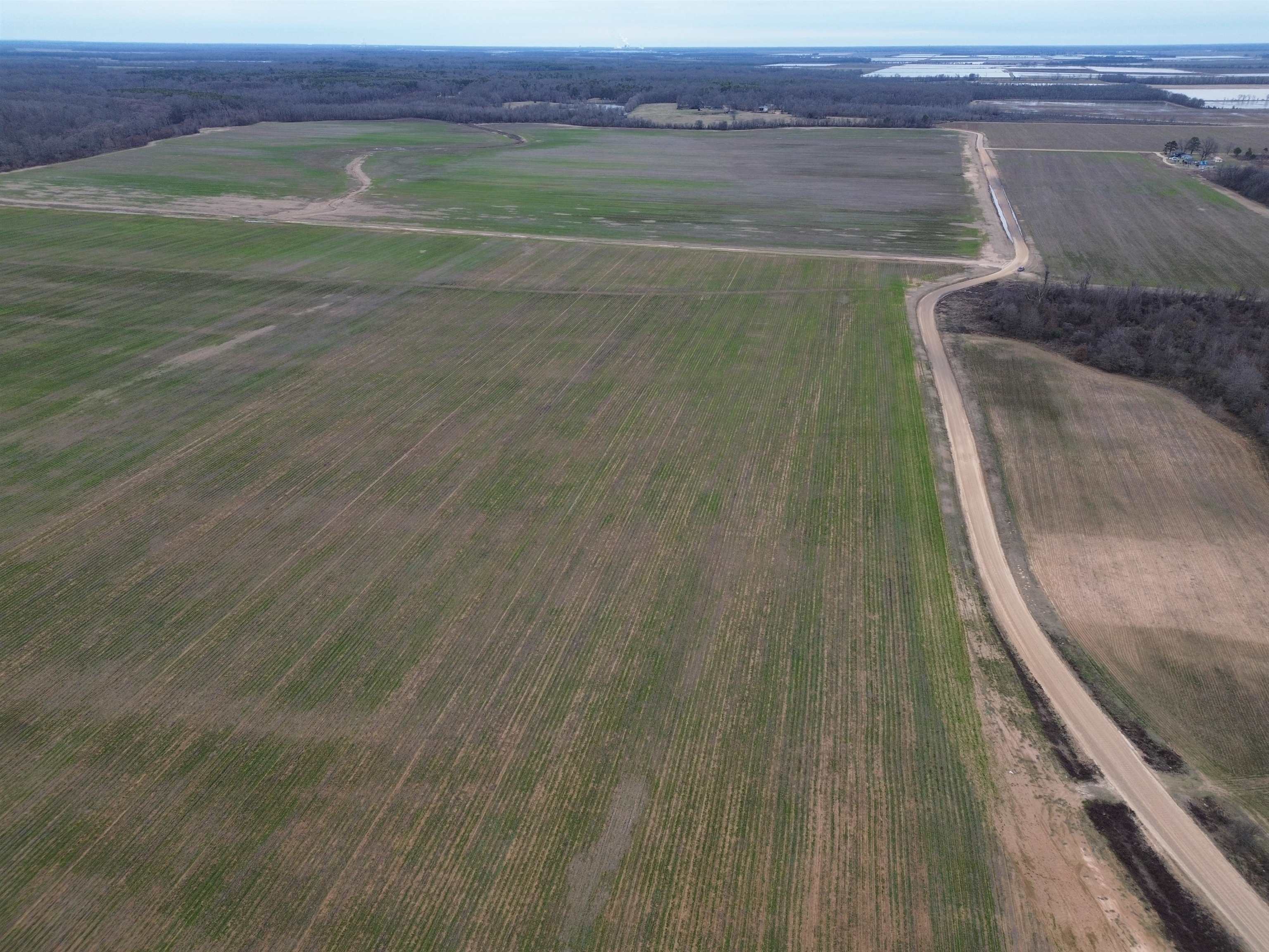 Lincoln - Farm