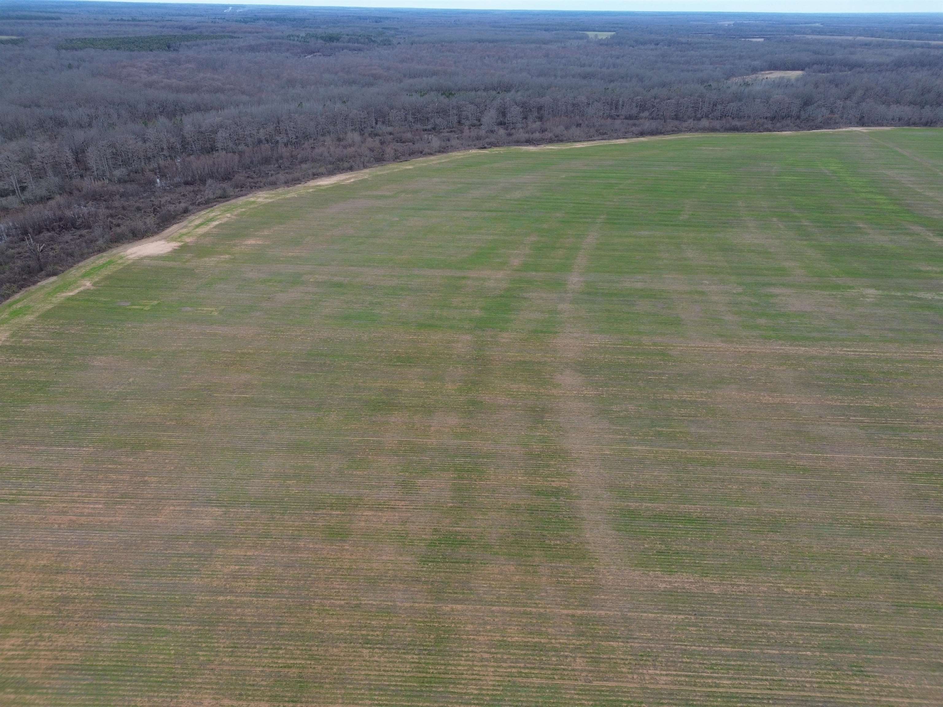 Lincoln - Farm