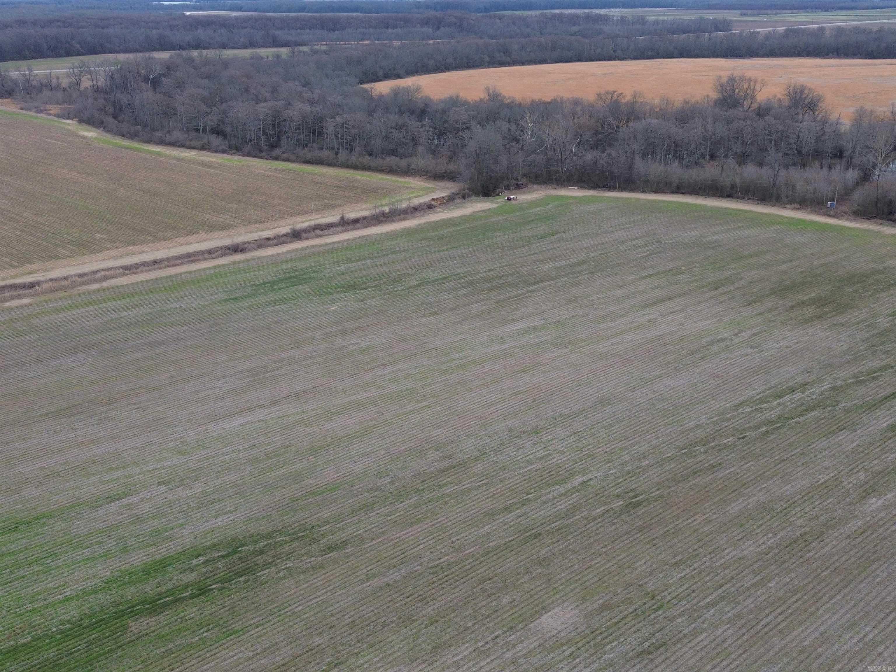 Lincoln - Farm