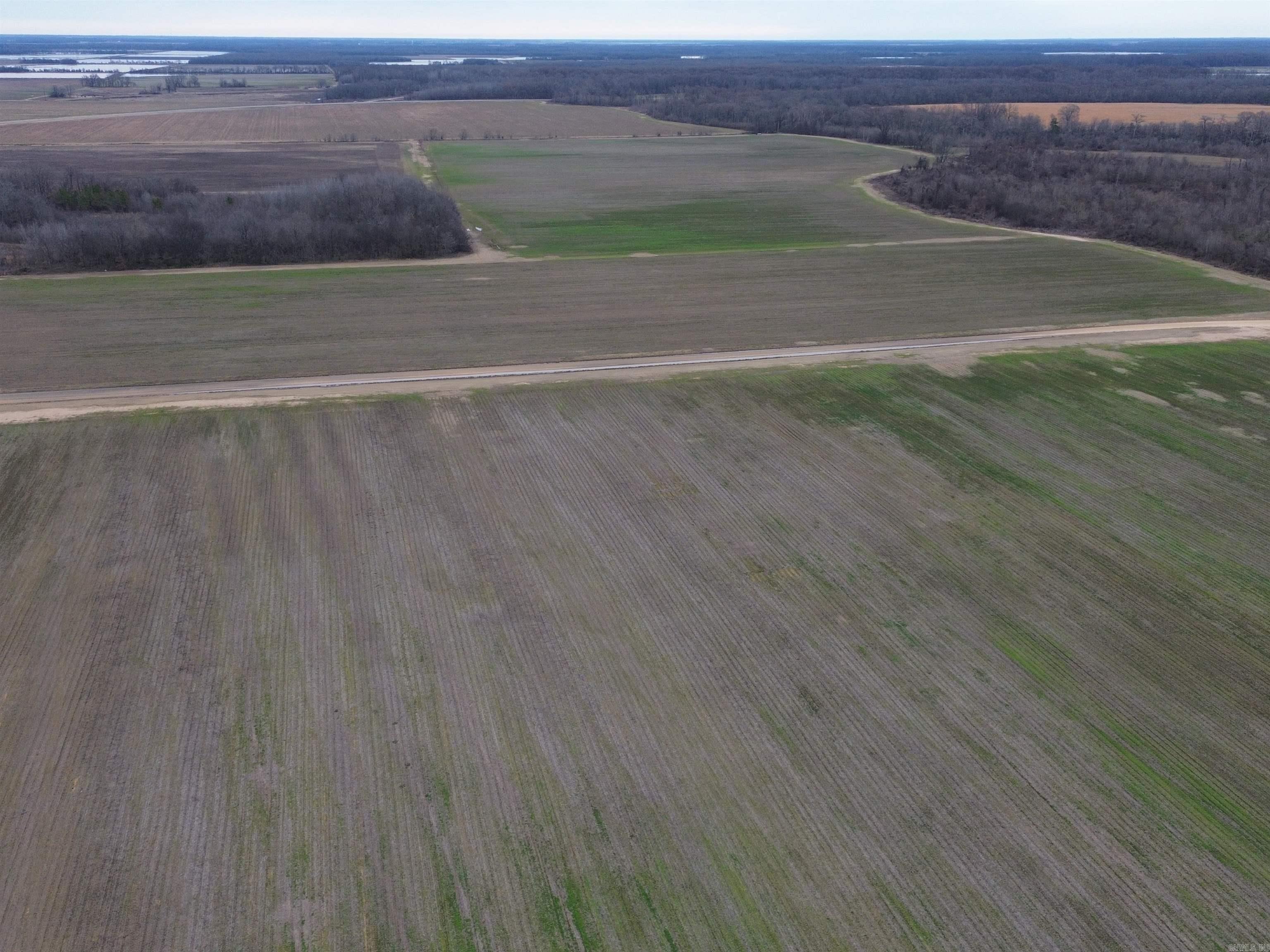 Lincoln - Farm