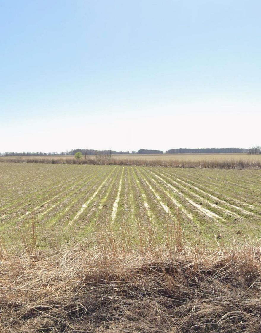 Great piece of land. 16.20 acres