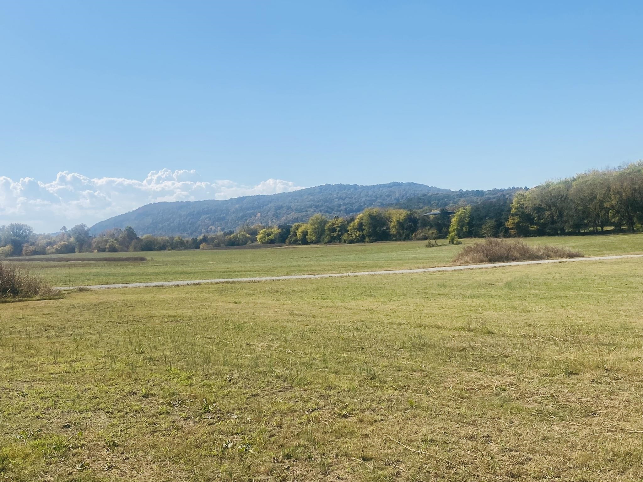 River Oakes Estates - Land