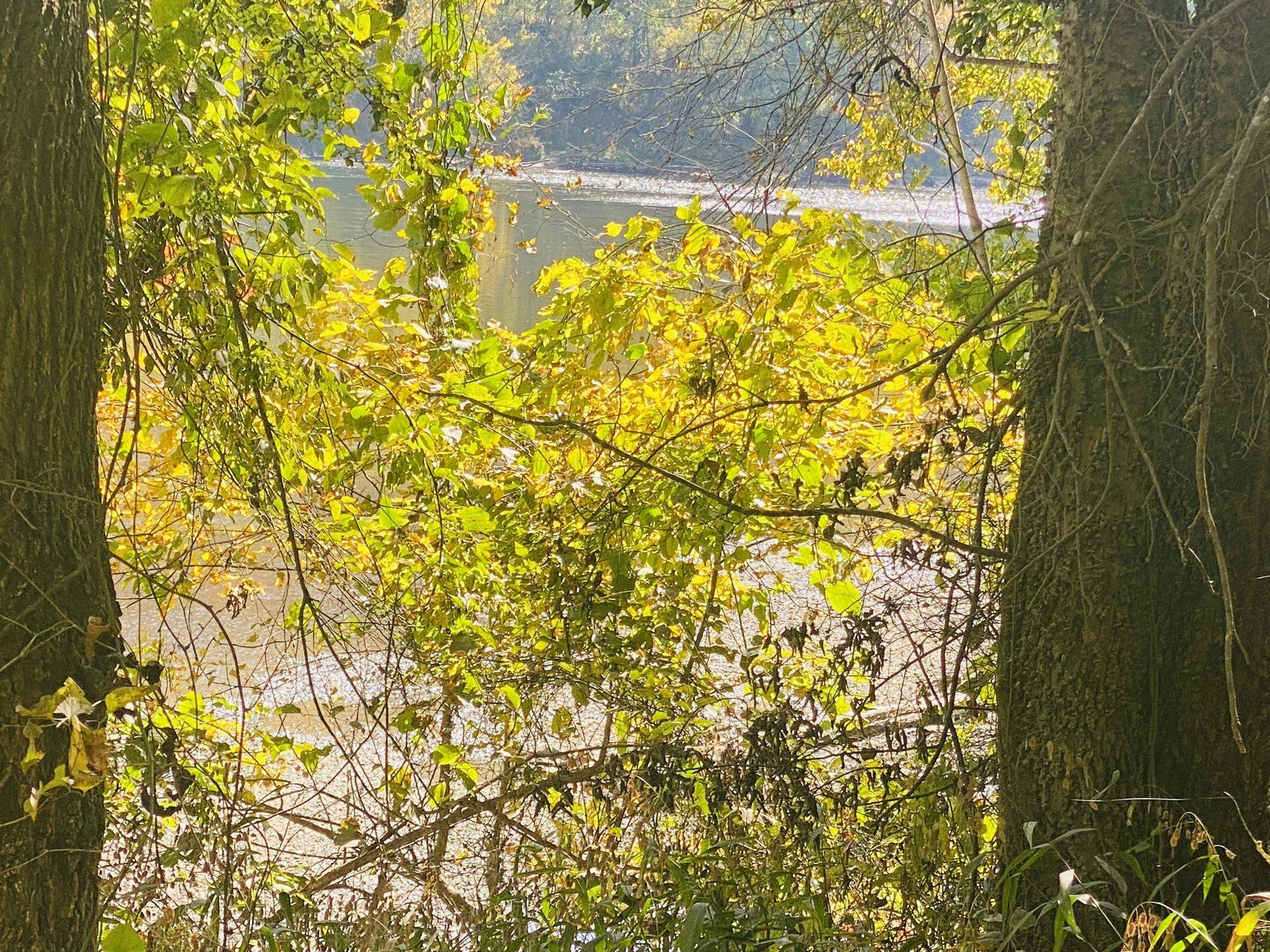 River Oakes Estates - Land