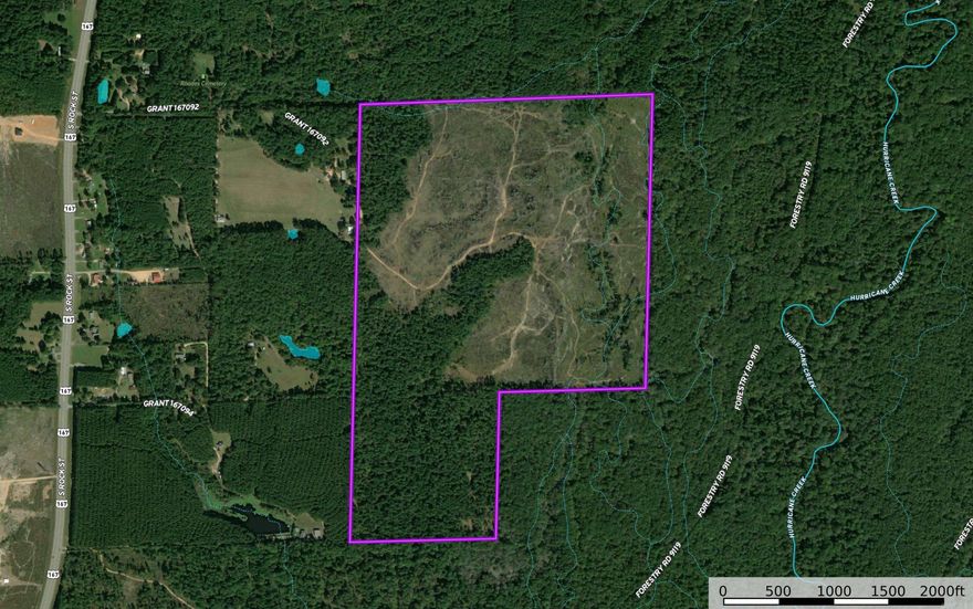Approximately 200 acres of scenic Grant County timberland offered at $339,000, giving buyers a rare chance to own a large tract at an attractive price point. Located roughly 4 miles north of Farindale off a dirt road with gated access, this beautiful property features gently sloping to rolling terrain, a 2021 pine plantation, and pine sawtimber that may provide immediate income potential. The setting offers excellent hunting habitat, plenty of room to roam, and the kind of privacy many land buyers are looking for. Adding some fencing could make this parcel cattle-worthy, especially on the Western high ground. The neighboring property is already served by water, power, and cable, so future house placement is a possibility. Convenient to Sheridan and within reach of the Little Rock area, this tract combines natural beauty, recreational appeal, and long-term potential in one hard-to-find package. Call your agent and schedule a showing today!