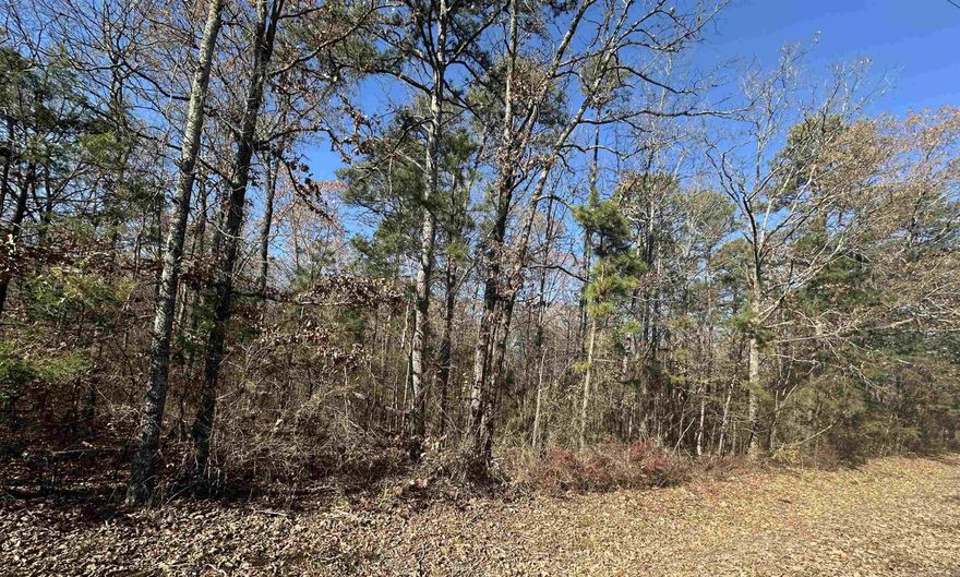 Nice buildable lots located right in the middle of town and close to EVERYTHING.