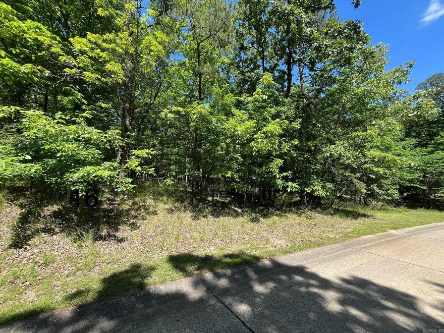 Here is your chance to build your dream home in the sought after Driftwood Point area. Lot 16 is gently sloped with underground utilities and deeded lake access. Located in the desirable Lakeside School District.