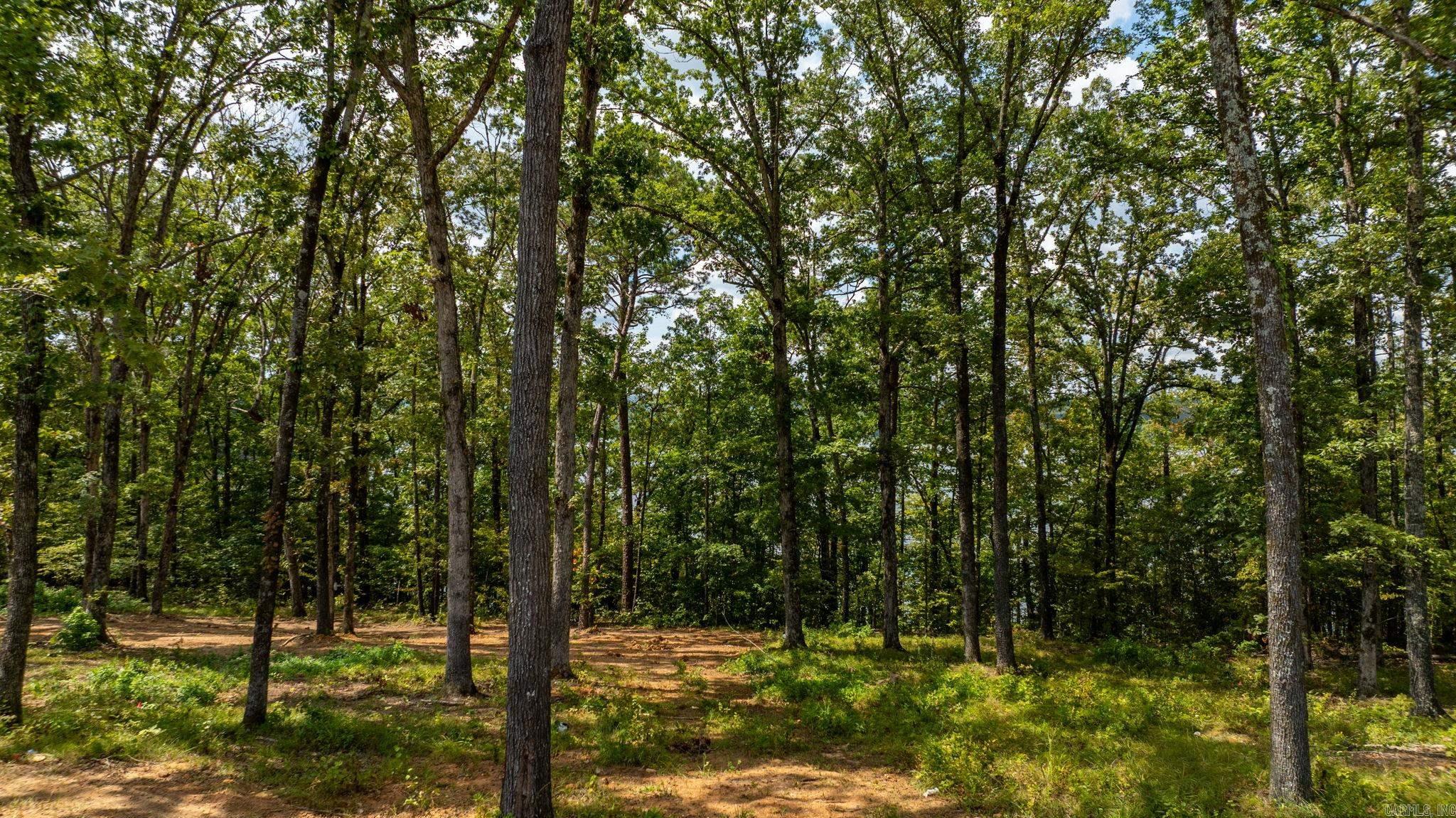 CRYSTAL BROOKE SHORES - Residential