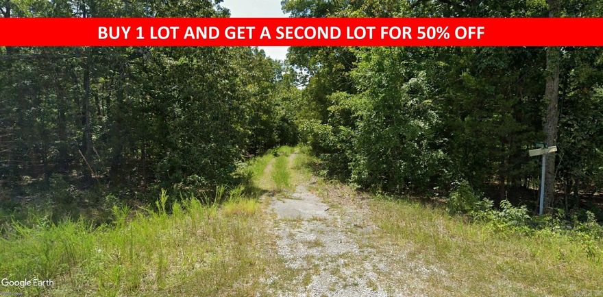 Buy one lot and get 50% off an additional lot! Owner-finance for easy terms. Cash buyers can pay by debit or credit card as well. Nice lot to develop or hold for future value. Public water and electric are available to run to property and will need septic. Owner/agent. No mobiles allowed. 300-2500 minimum build size on any other type of home, depending on subdivision. Finance is 5 months at $194 and closing costs are included. Lots marked with red banner are part of promotion. No limit on lots. Buyer responsible for any/all taxes and lots sold "as-is". Quit claim deed conveys. Parcel ID# 405-21562-000