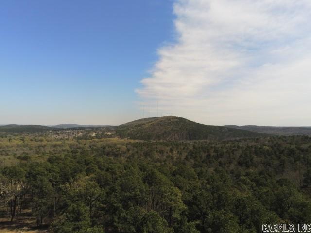 Maxines Replat of Mills Mountain - Land