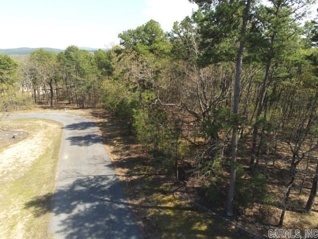 Maxines Replat of Mills Mountain - Land