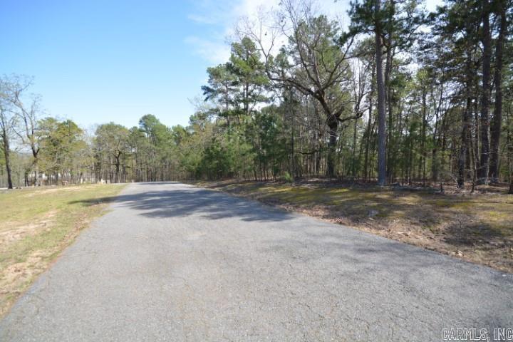 Maxines Replat of Mills Mountain - Land