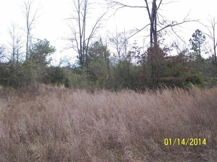 Bank owned. Approximately 25 acres bordering lost creek. Property is to the North of Lost Creek. Mineral rights convey, seller to do new survey.