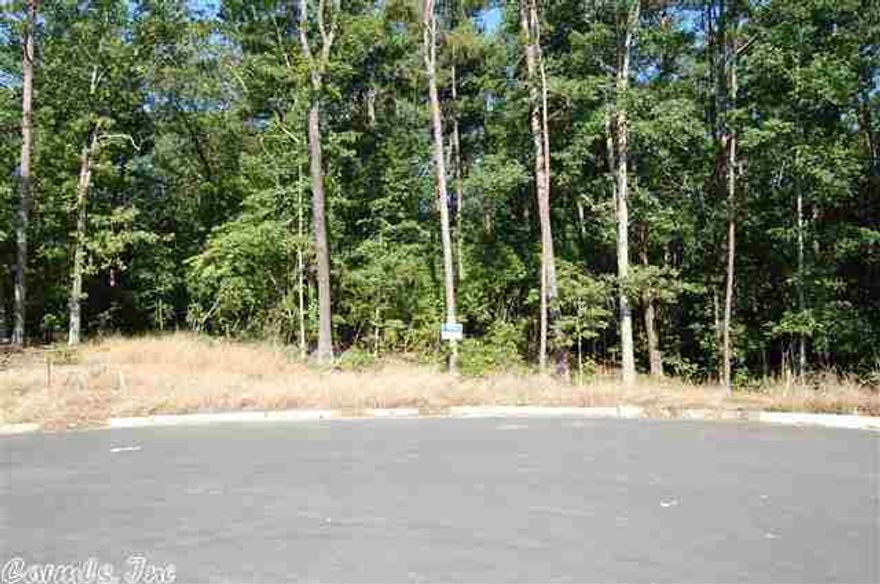 Newest Neighborhood in Chenal Valley.  Beautiful natural and private building sites with extensive green space.  Close to pool, Shopping at new Promenade at Chenal, and the new Chenal Elementary School.  Building requirements to mirror that of Maisons with minimum sq footages to be 2600 sq ft for a one level and 3000 sq ft for a multi level.  Wood or Wood clad windows are required as well as 9 1/2 min roof pitch.  Call Chenal Properties for Contracts and Documents.