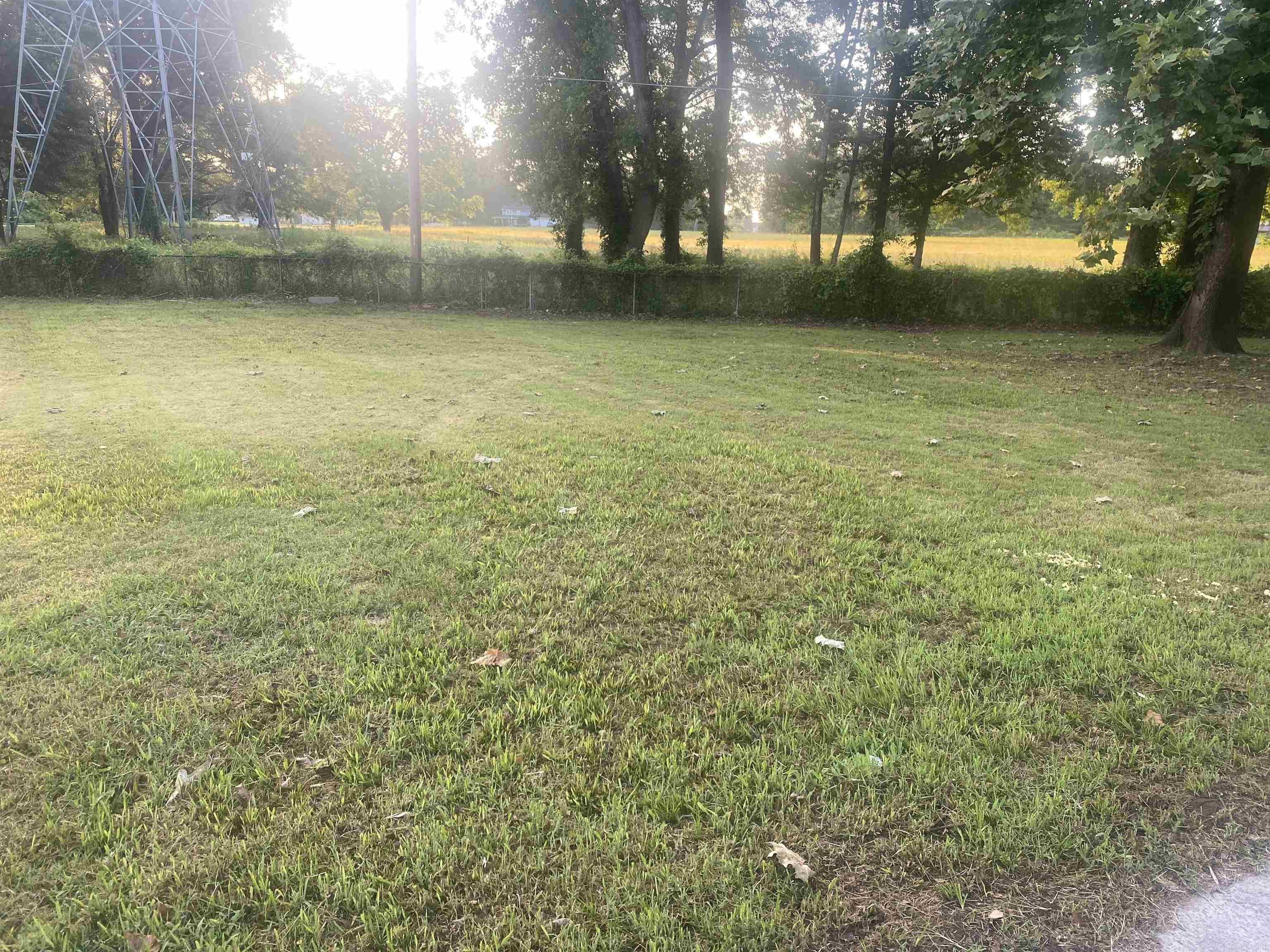 DELTA LAWN - Residential