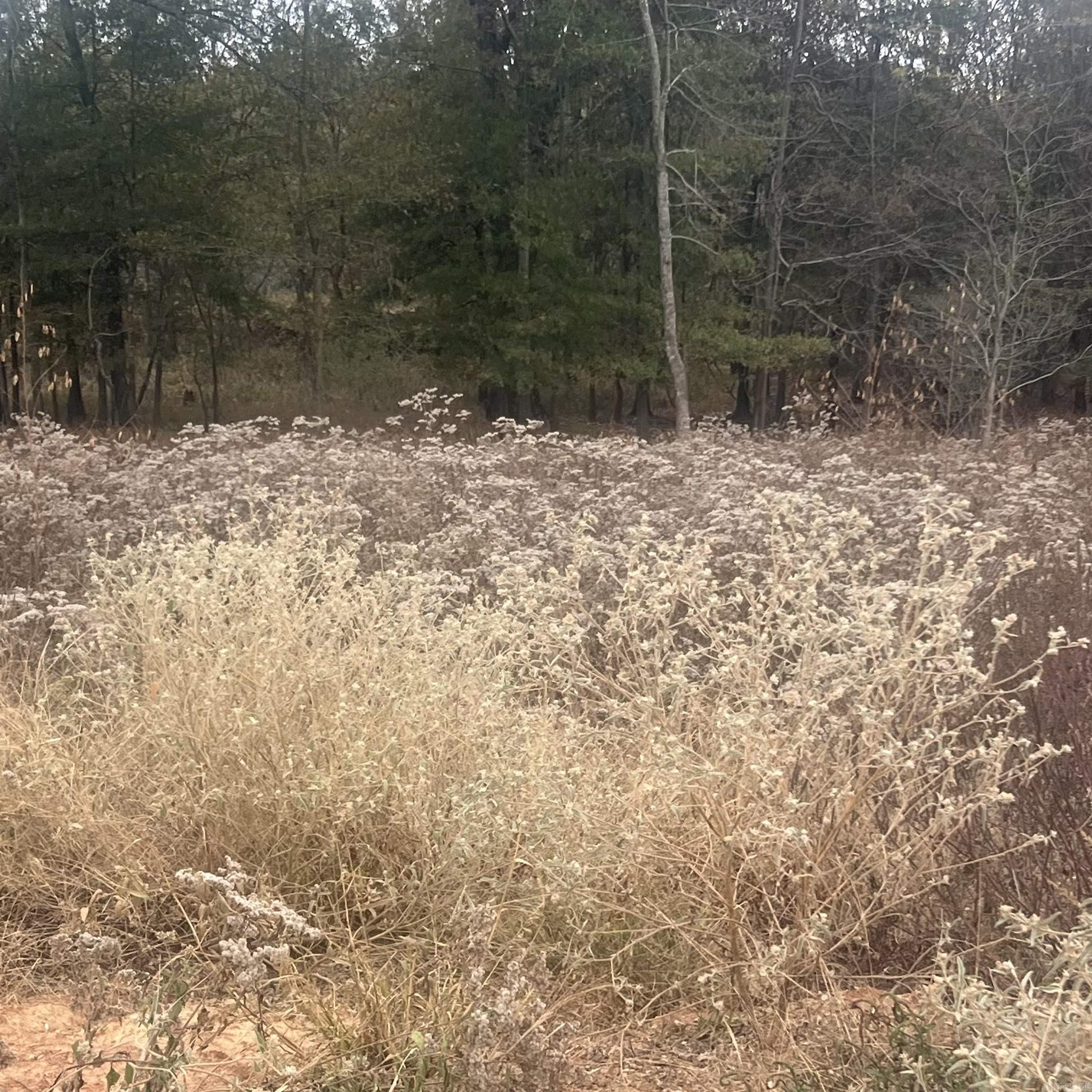 COUNTRY CLUB OF ARK THE - Land