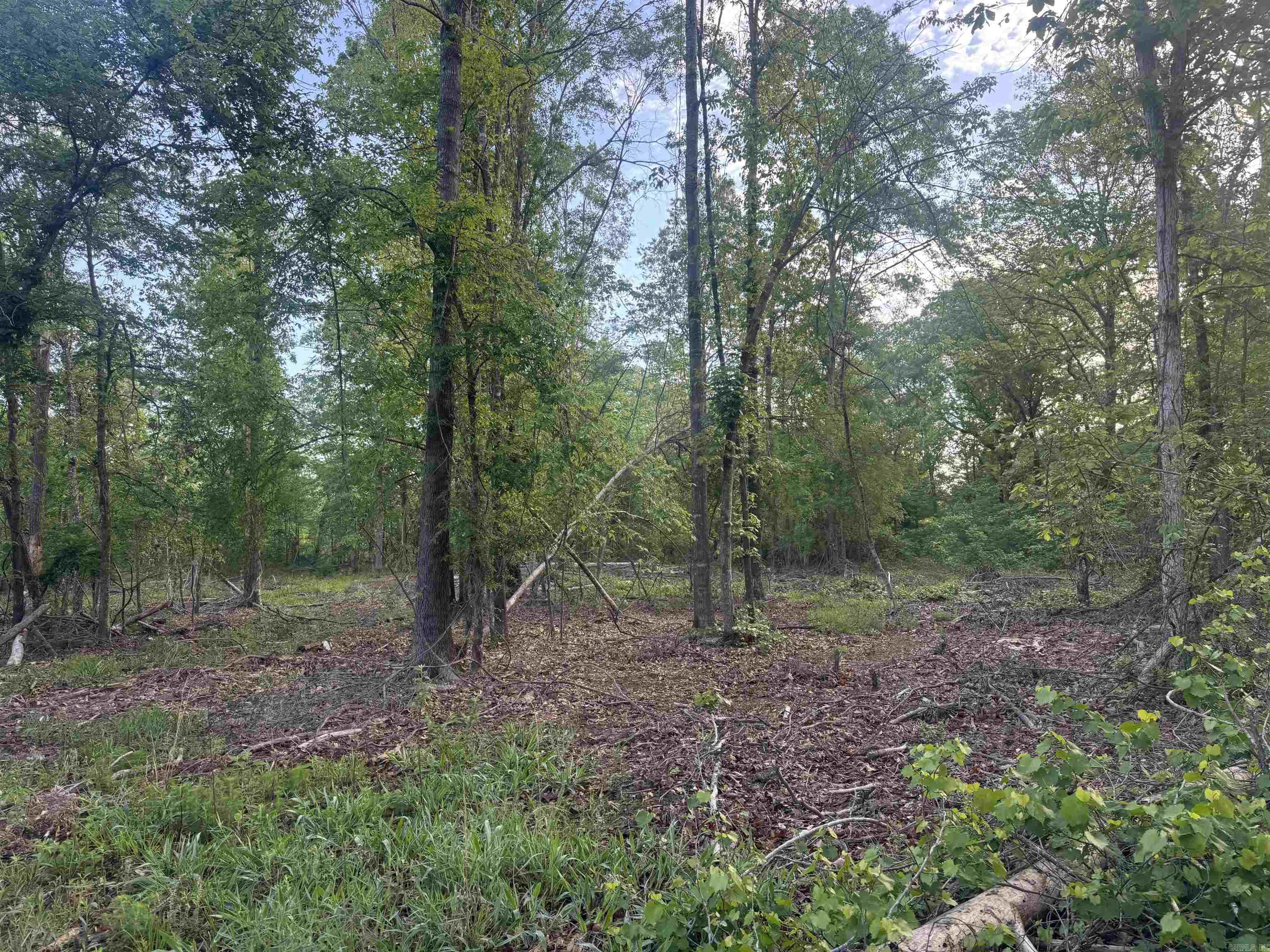 Not in Subdivision - Land