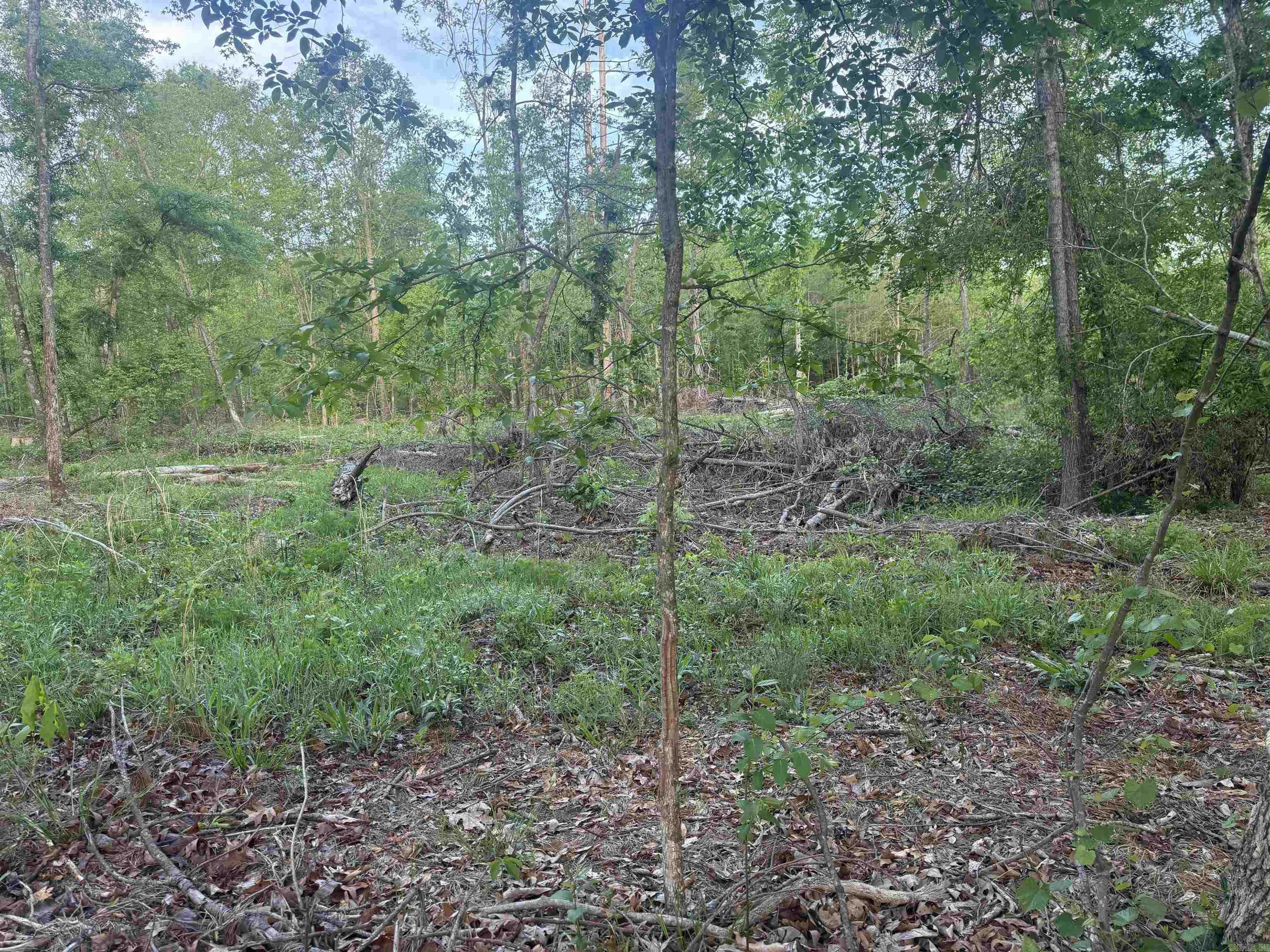 Not in Subdivision - Land