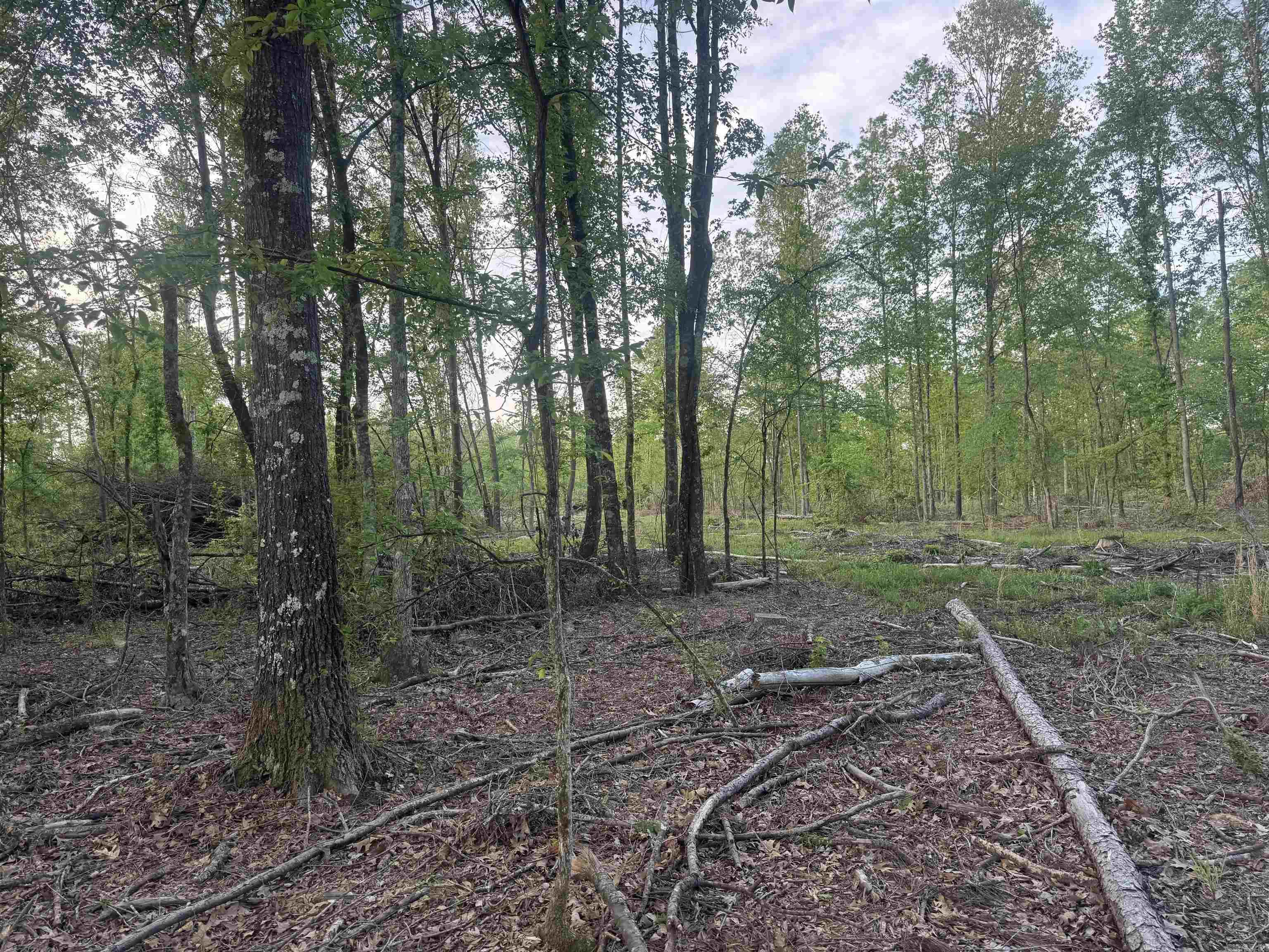 Not in Subdivision - Land