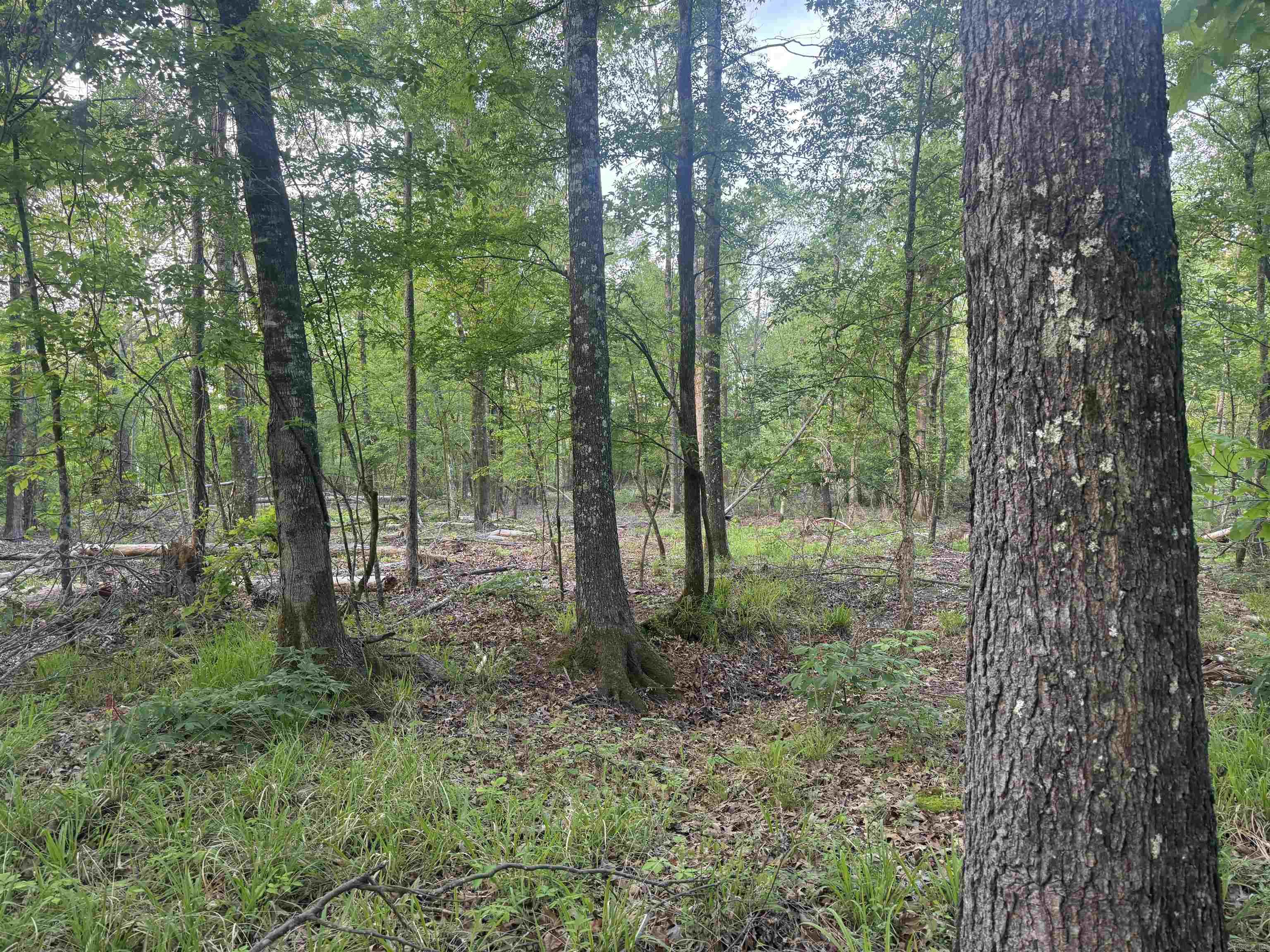 Not in Subdivision - Land