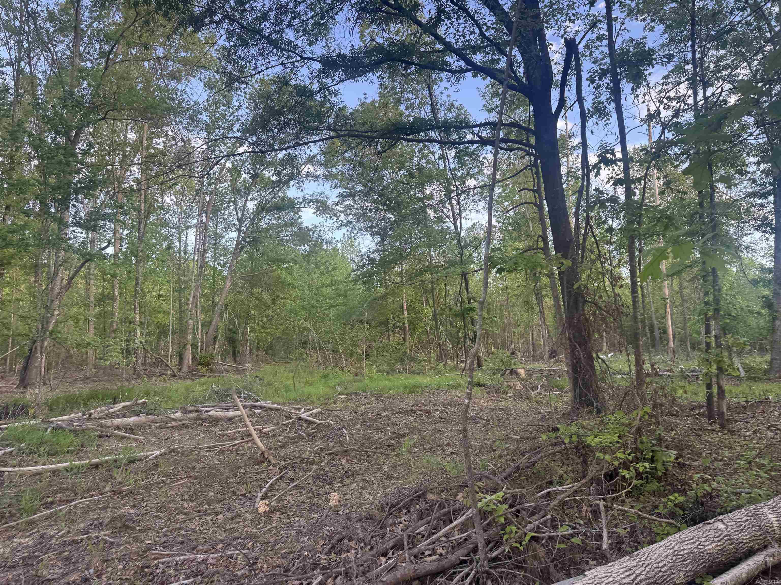 Not in Subdivision - Land