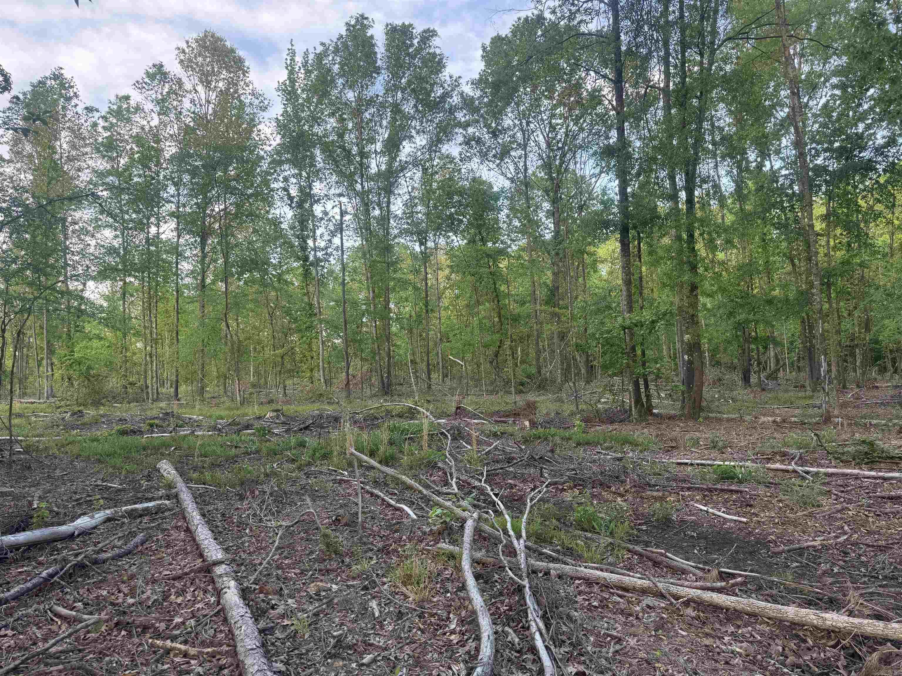 Not in Subdivision - Land