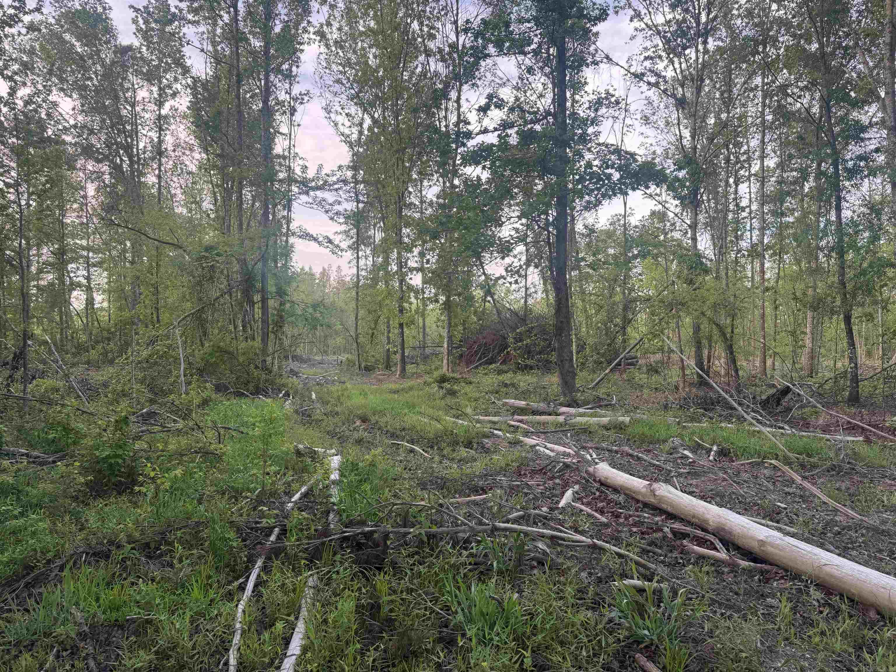 Not in Subdivision - Land