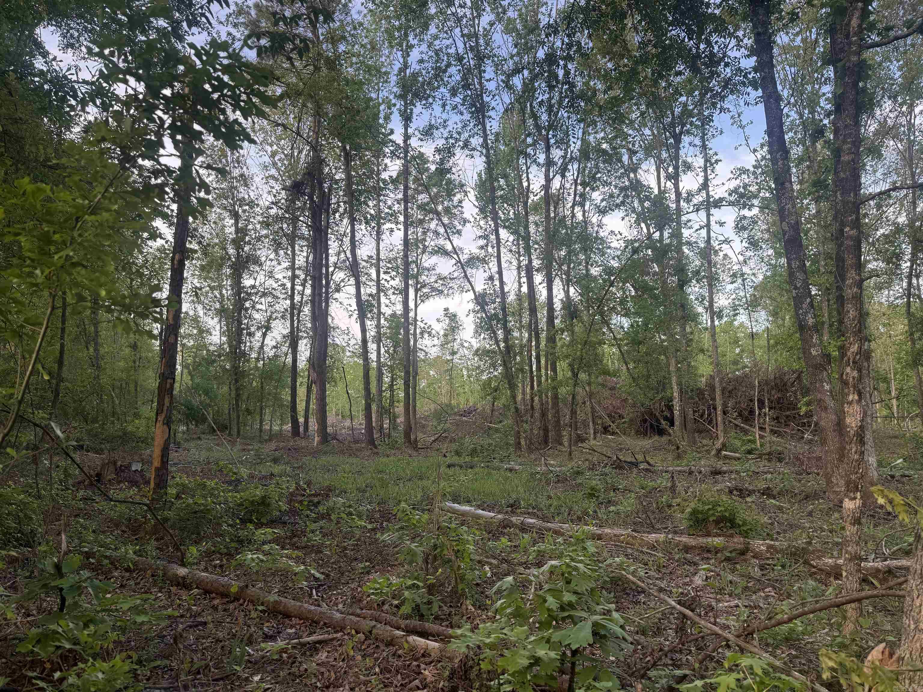 Not in Subdivision - Land