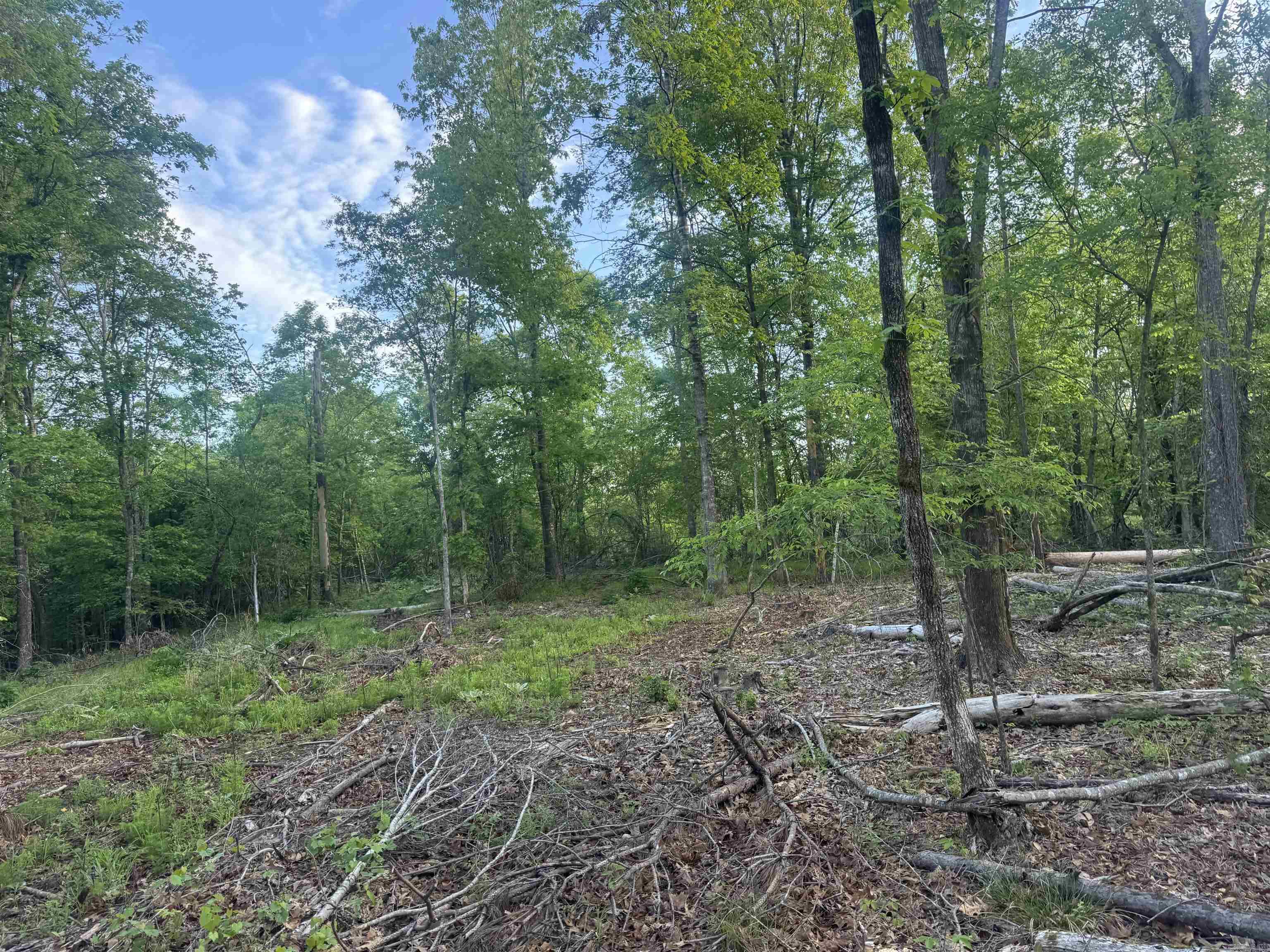 Not in Subdivision - Land