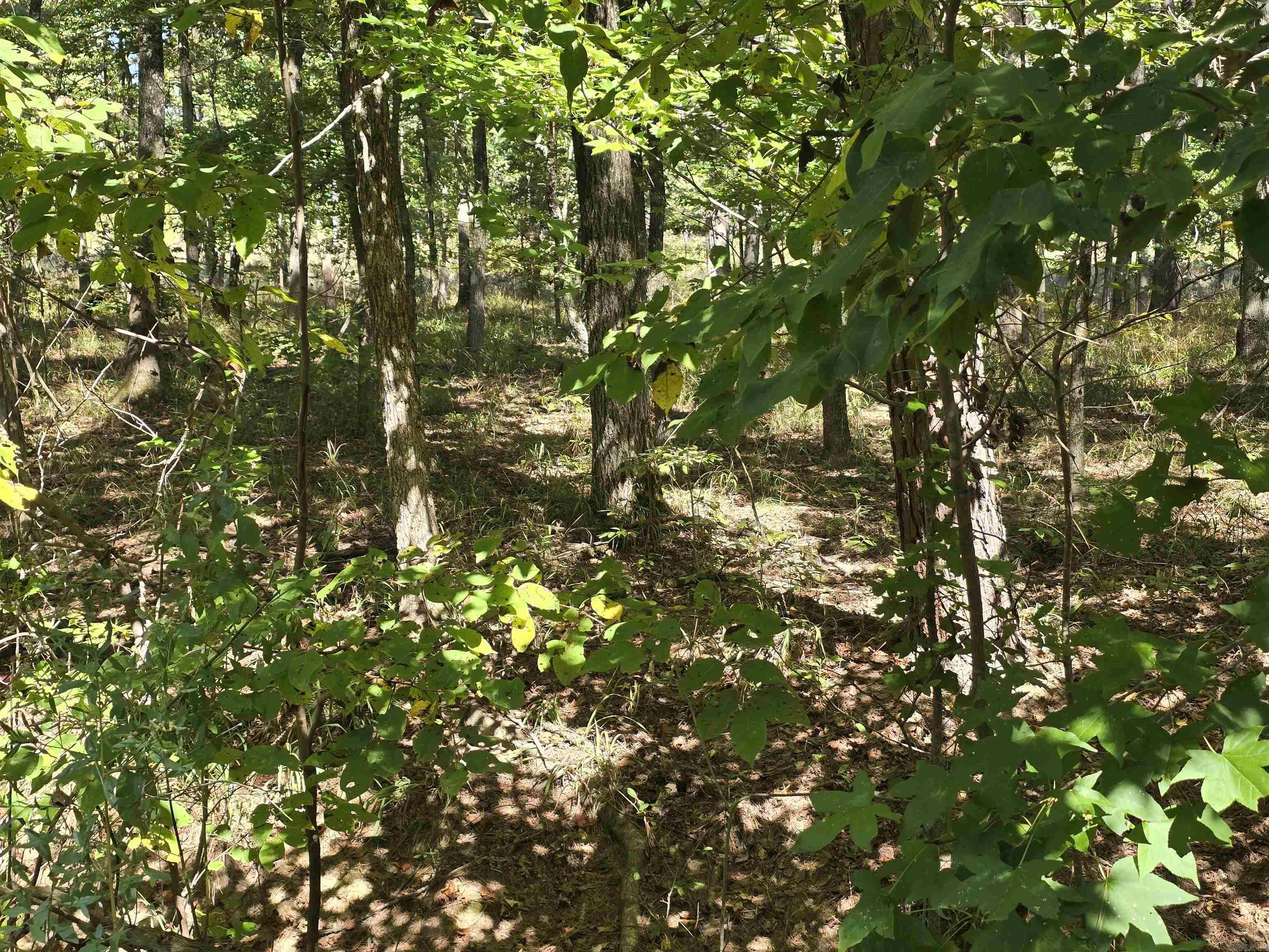 Builders- this is a very desirable lot (very level and in Magnet Cove Schools) located in the fast growing community of Diamondhead. Come check it out and see for yourself! (Lots 413, 414, 415 & 416 may be bundled & purchased together for an exceptional price)