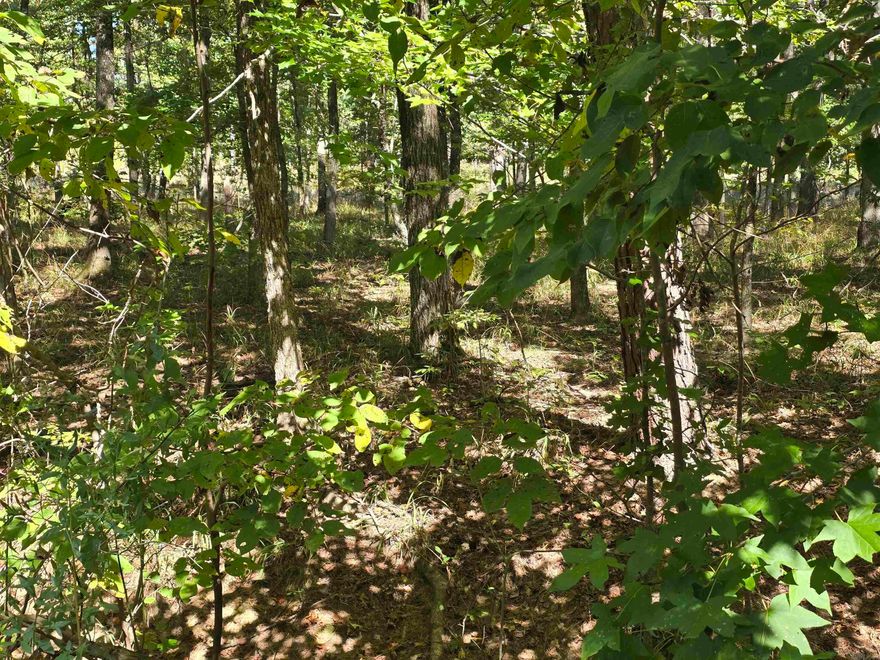 Builders- this is a very desirable lot (very level and in Magnet Cove Schools) located in the fast growing community of Diamondhead. Come check it out and see for yourself! (Lots 413, 414, 415 & 416 may be bundled & purchased together for an exceptional price)