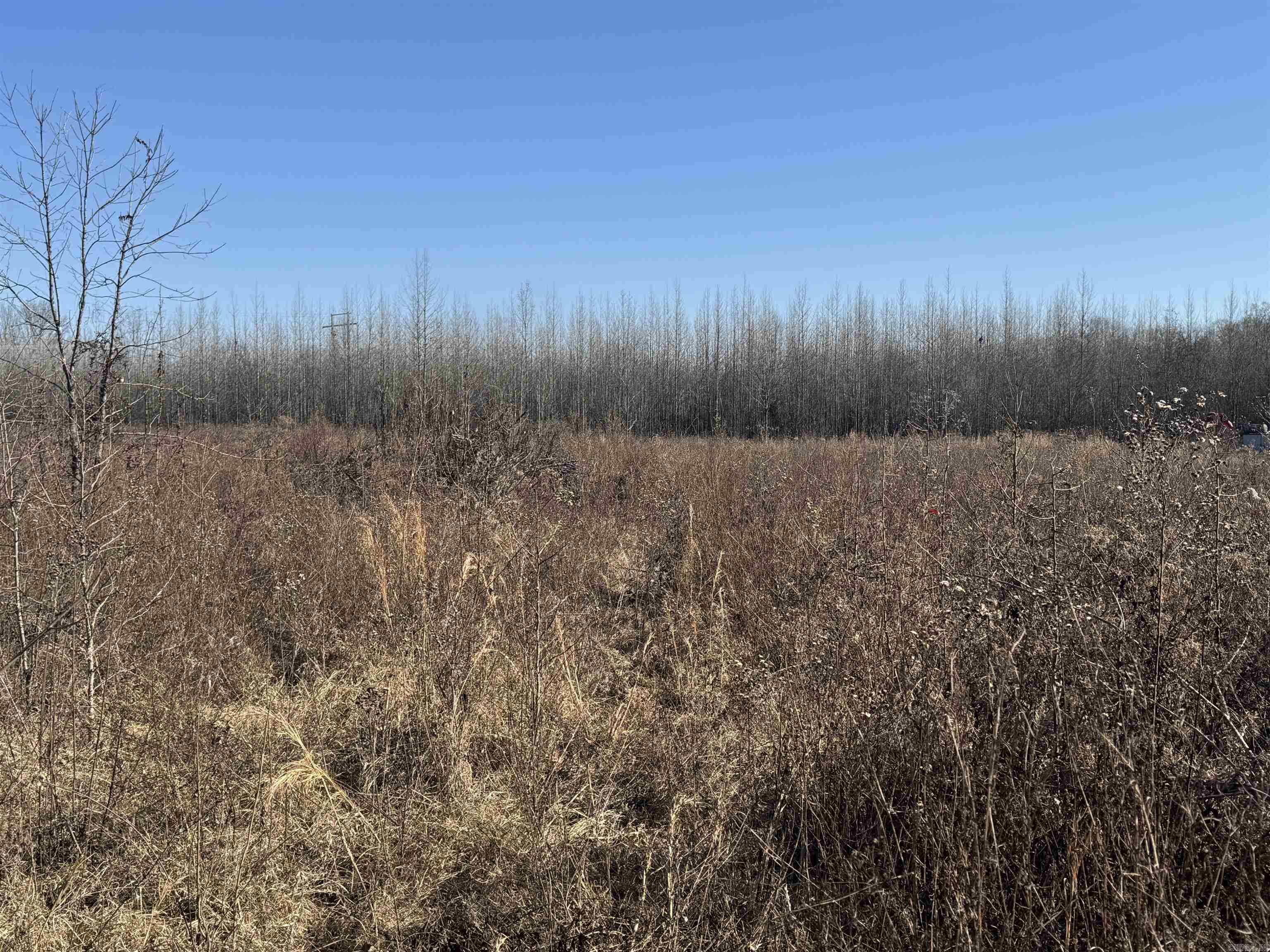 Metes & Bounds - Land