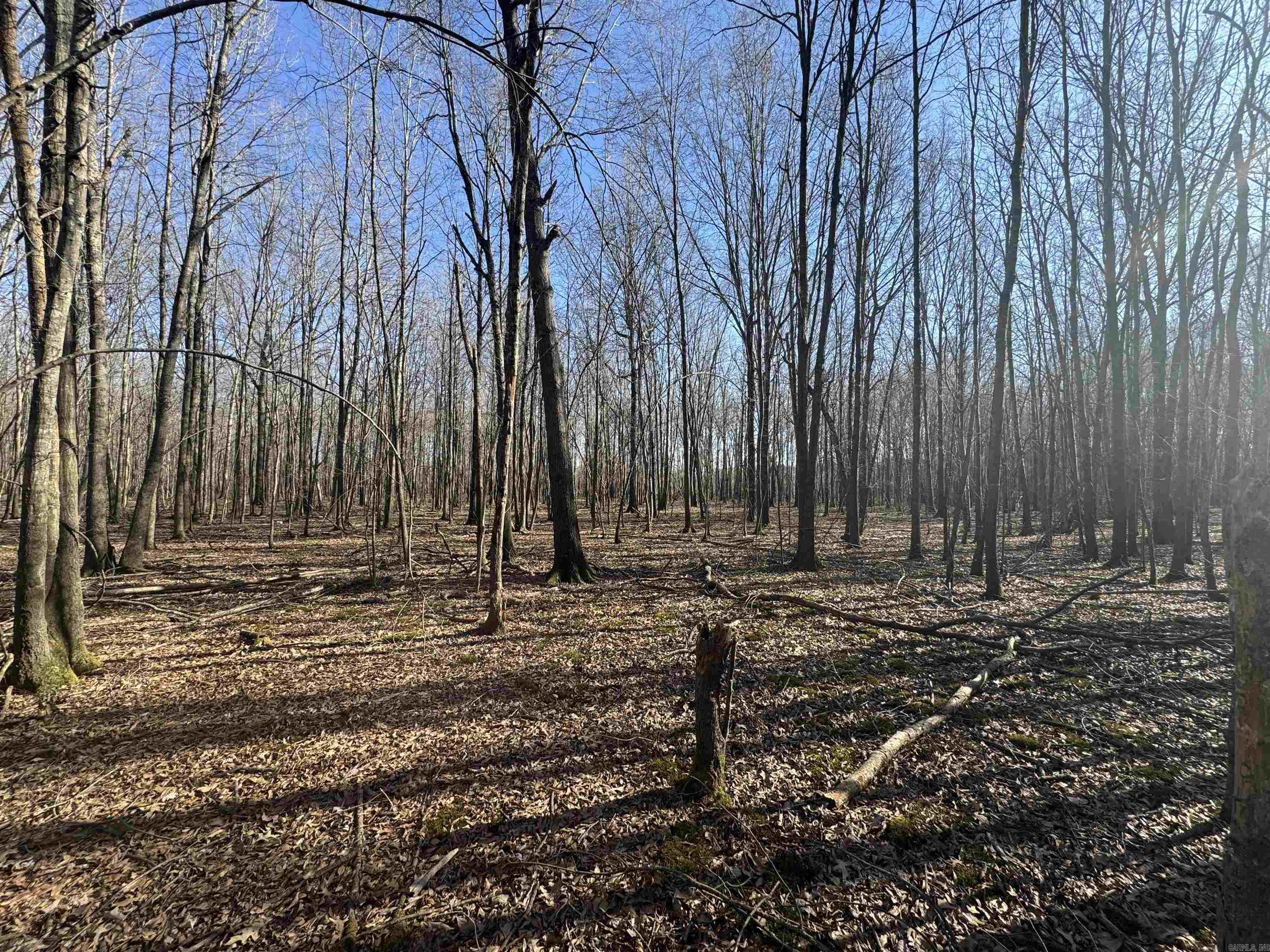 Metes & Bounds - Land