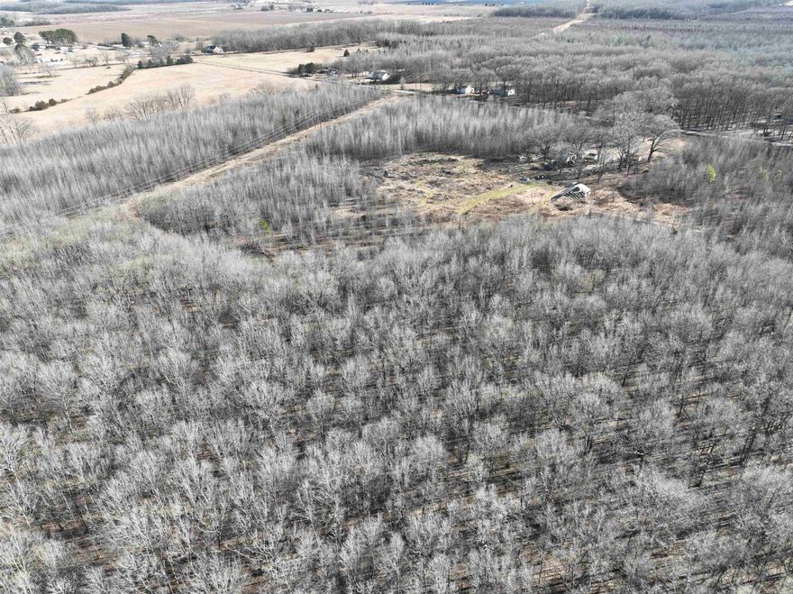 Morrow Church Rd 40 is an old home place located just south of Searcy, AR that really has a lot of potential. Wheater you choose to clear it off and rebuild a new home, small cabin, or use it for a place to hook up your RV, you definitely have some options. Create your own little get-away spot, hunting hide-away or trail ride on your ATV, this property is perfect for all of the above.  The property is covered mostly in small Sweet Gum Trees, native vegetation, and numerous soft wood saplings, all providing great brose and cover for wildlife. On the North end you will find a very nice stand of mast producing hardwoods that border the thick cover and bedding areas. The South entrance has some beautiful ancient oaks that would make a perfect place to build your own home or camp. The owner has started a trail system throughout and with a little more work you can access every part of the property with ease.  If you are in the market for a recreational/hunting property or a place to make your own home place in the country, this could be it! Give us a call today and let's go look at it.