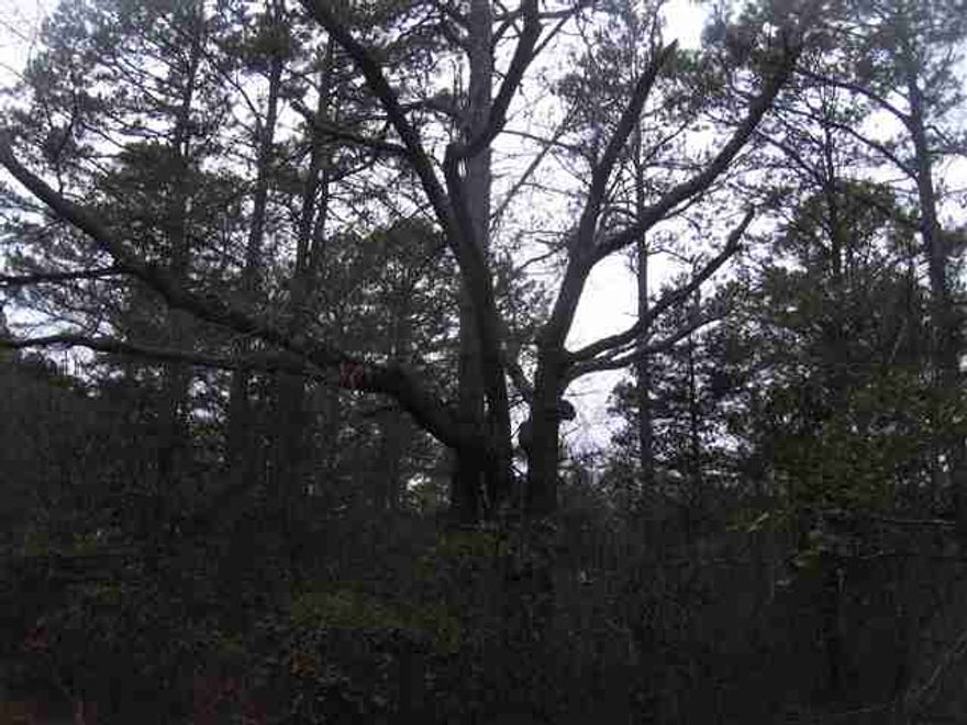 Heavily wooded lot, good level building site, only 1 mile to Sugar Loaf Recreation Area. Buyer responsible for perk test.  13 other lots are available for package deal. Covenants and restrictions  states no mobiles