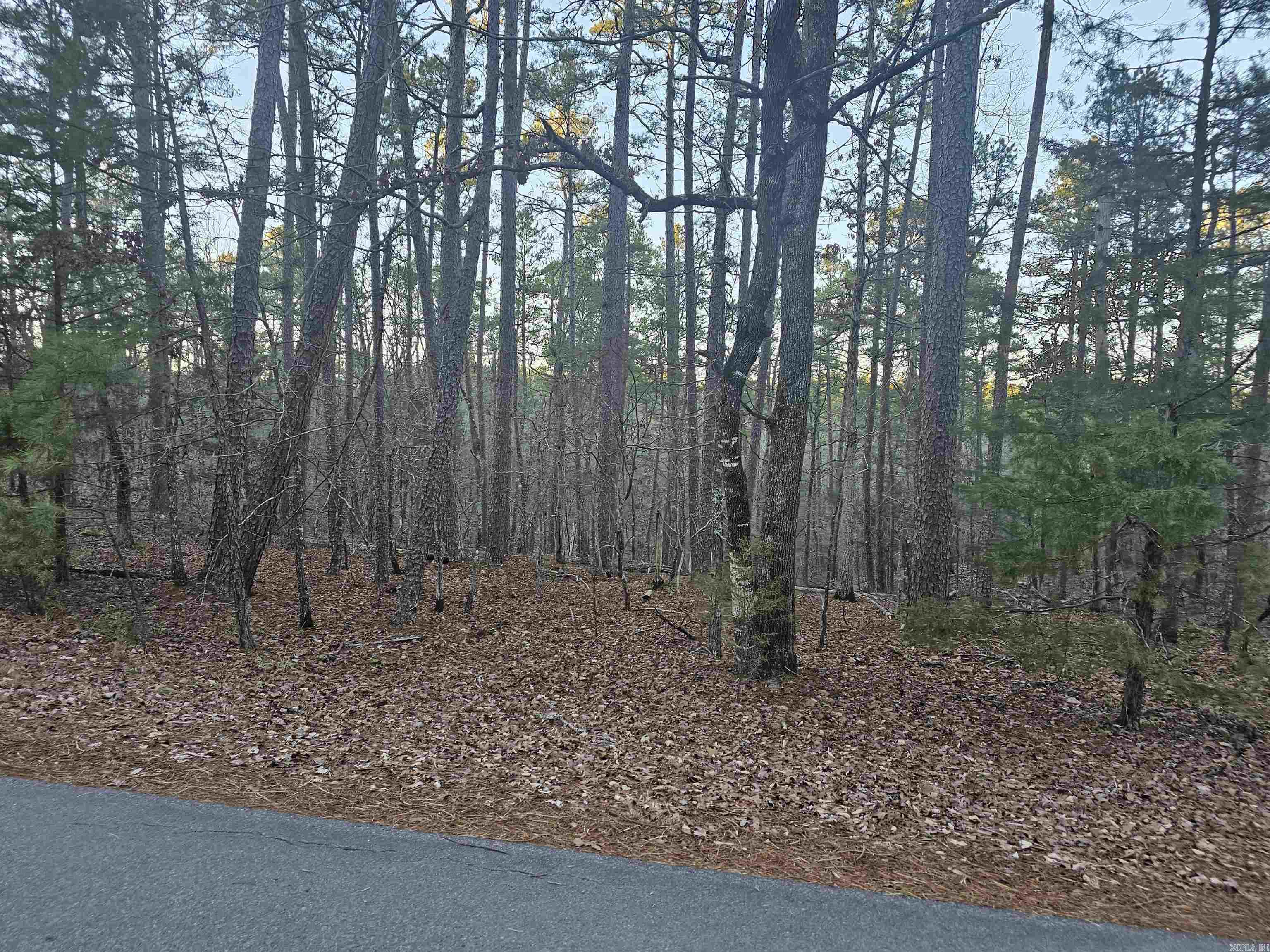 Awesome buildable 0.66 of an Acre lot in Hot Spring Village near Ponce De Leon golf course. Build our dream home or vacation get away. Lots of natural potential to make this Lot your future forever home. Don't miss the opportunity to make Hot Springs Village your little paradise on earth. All the natural state's beauty in one community. Picture yourself living in the "Hot Springs Village" aka the Village.