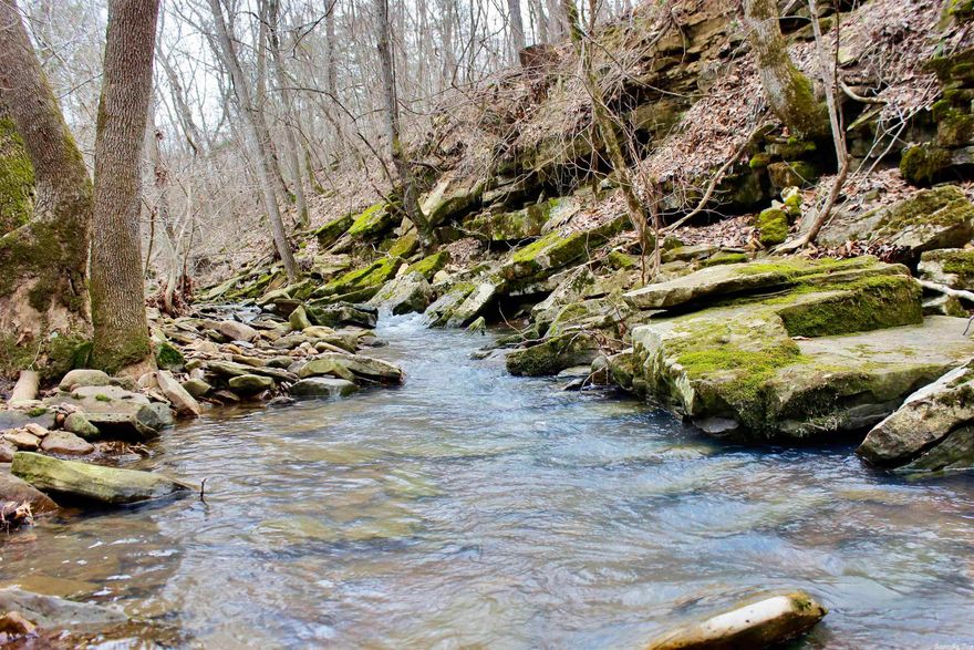 This spectacular 240 +/- acre tract in Newton County, Arkansas is everything you look for as an outdoors enthusiast with creeks, tons of wildlife and absolute peace and tranquility from the every day world. It's not often you have not one but two beautiful seasonal creeks running through your property. Over a miles worth of creeks traversing the property making for scenic locations to enjoy the beauty of the Ozarks. Creeks aren’t the only water features on the property as there is also a small seasonal waterfall near gorgeous rock out cropping’s. The topography of this tract gives a very diverse land layout from being level in the valley to sloped mountains sides with scenic views from the highest mountain tops. There is also a vast trail system through the property allowing you to explore the untamed wilderness.  To access this property you travel 1.3 miles on a private easement road before arriving at the property gate. This location would make a great place for an off the grid cabin or a place to take the family out for a weekend of camping. While being very secluded you are only thirty minutes from Huntsville and thirty five minutes from Berryville. Call today 479-244-5535.