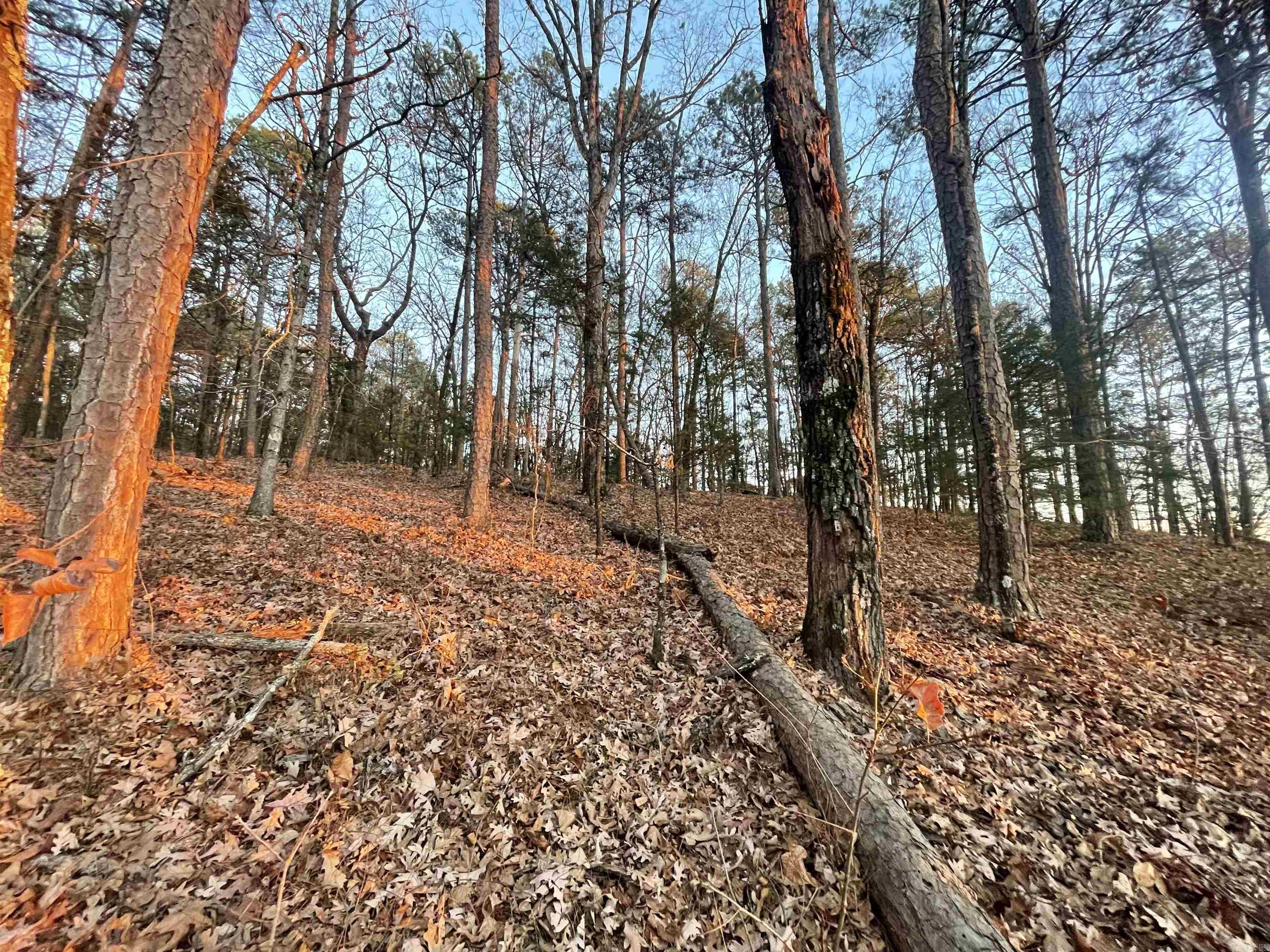 Indian Hills - Land