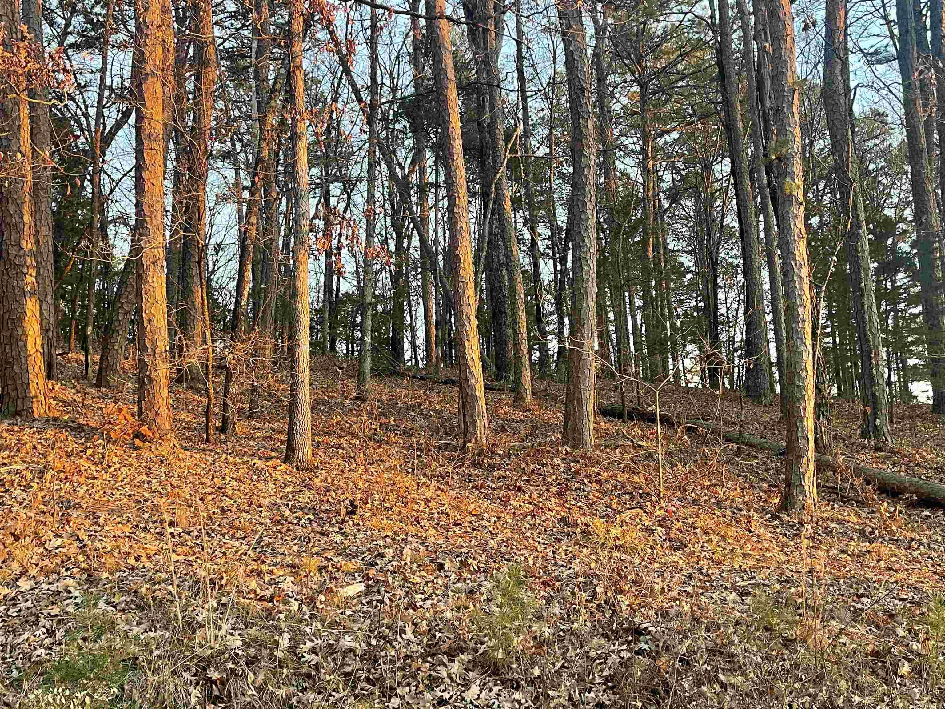Indian Hills - Land