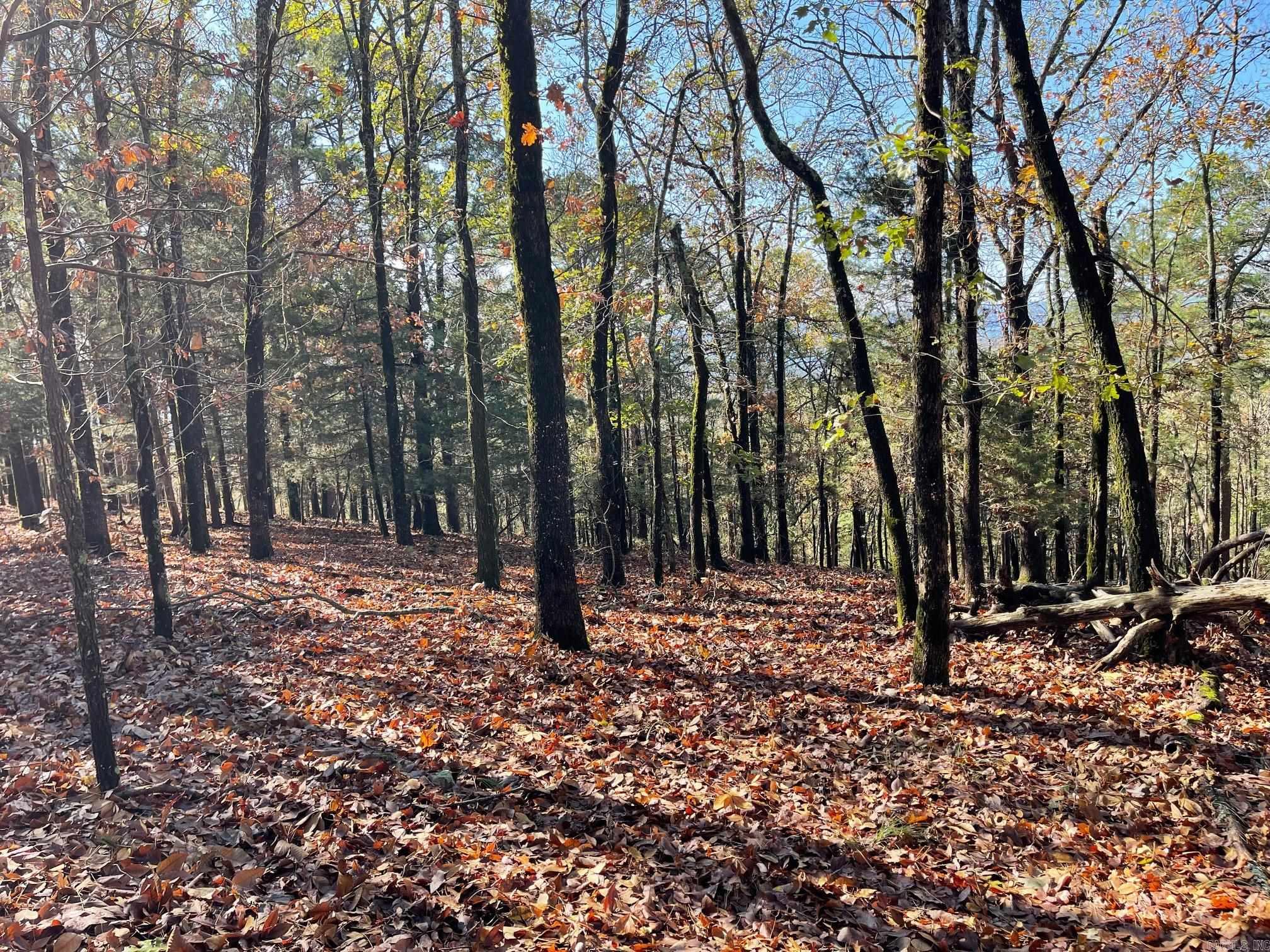Indian Hills - Land