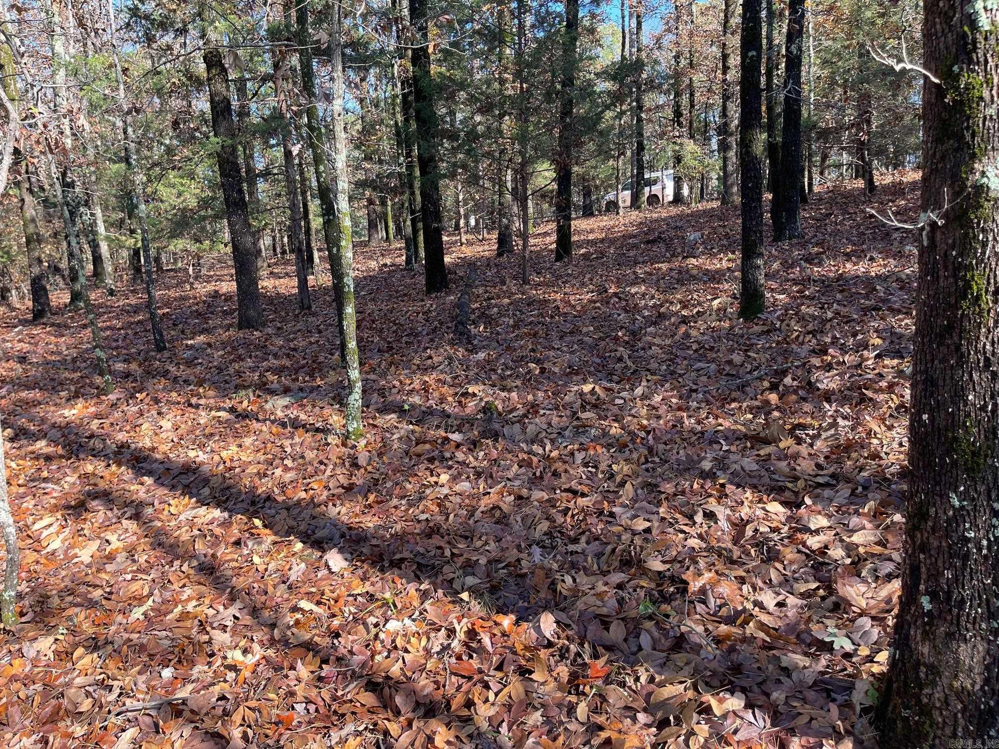 Indian Hills - Land