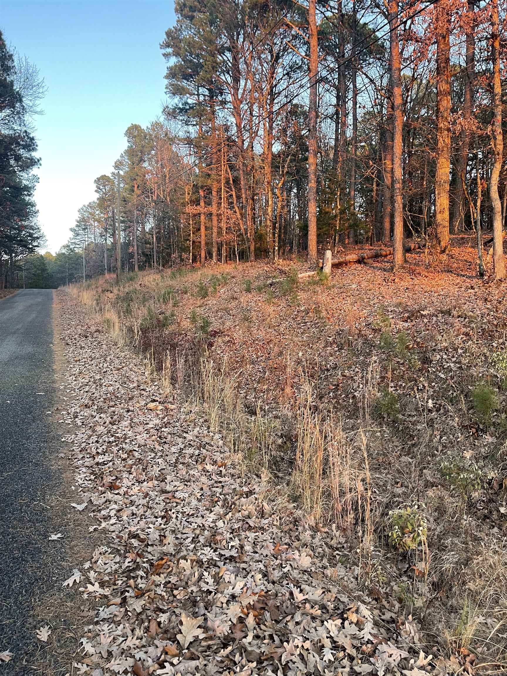 Indian Hills - Land