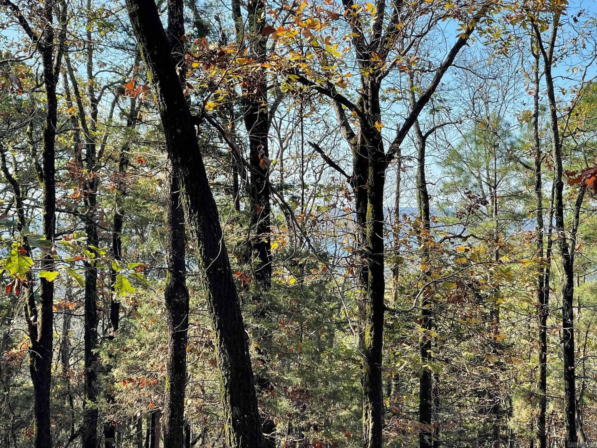 Indian Hills - Land